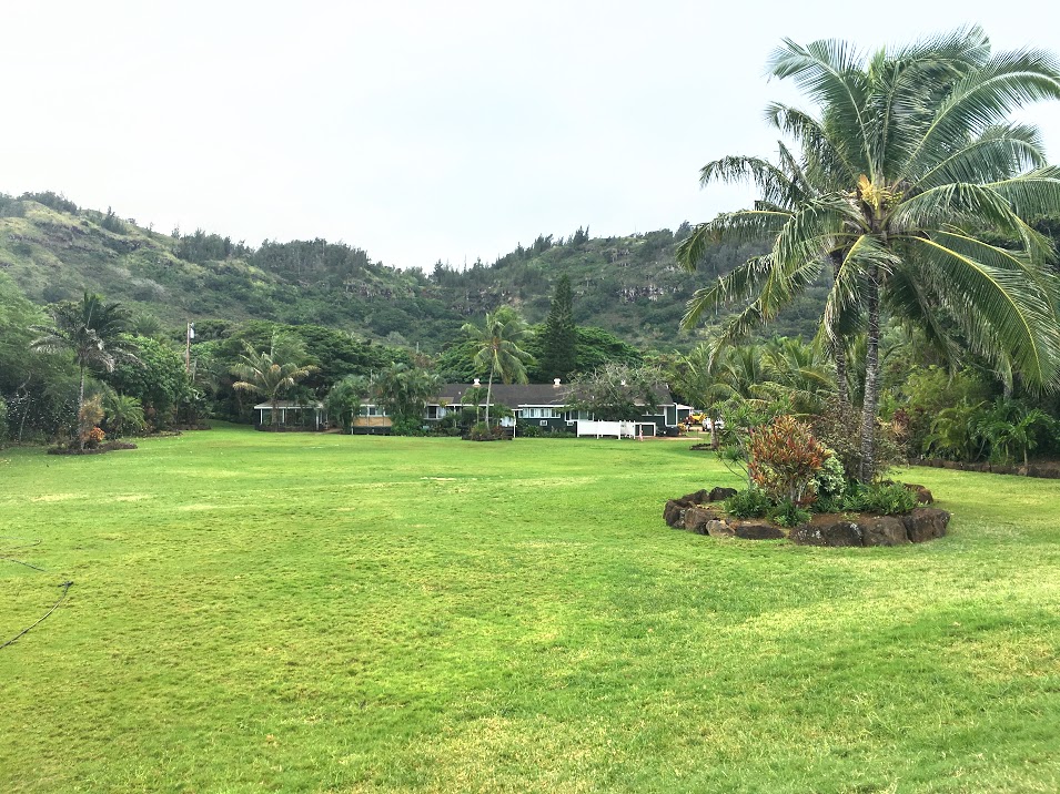 The view back towards the house from the beach.