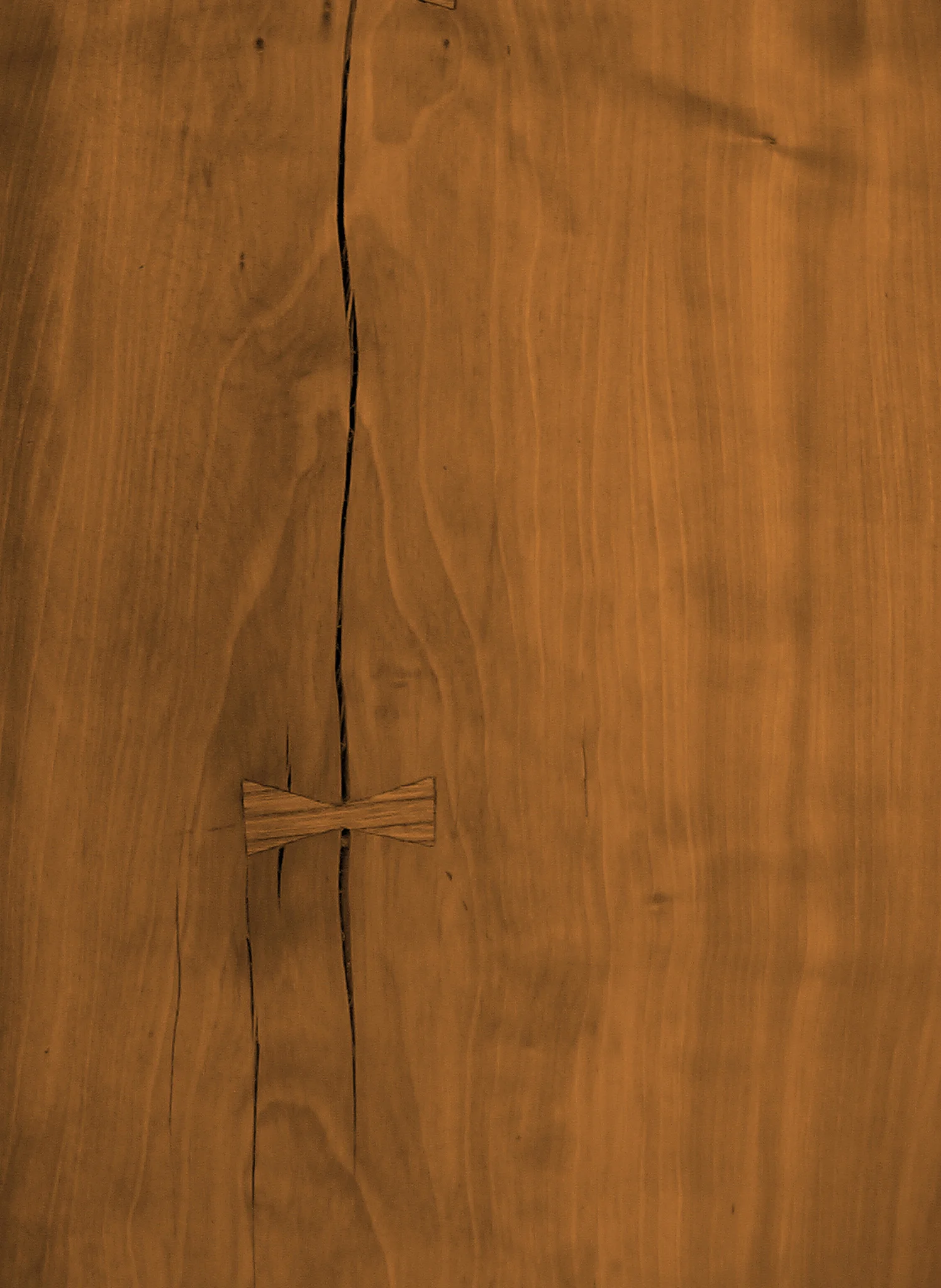 IMGA0137palisander.jpg