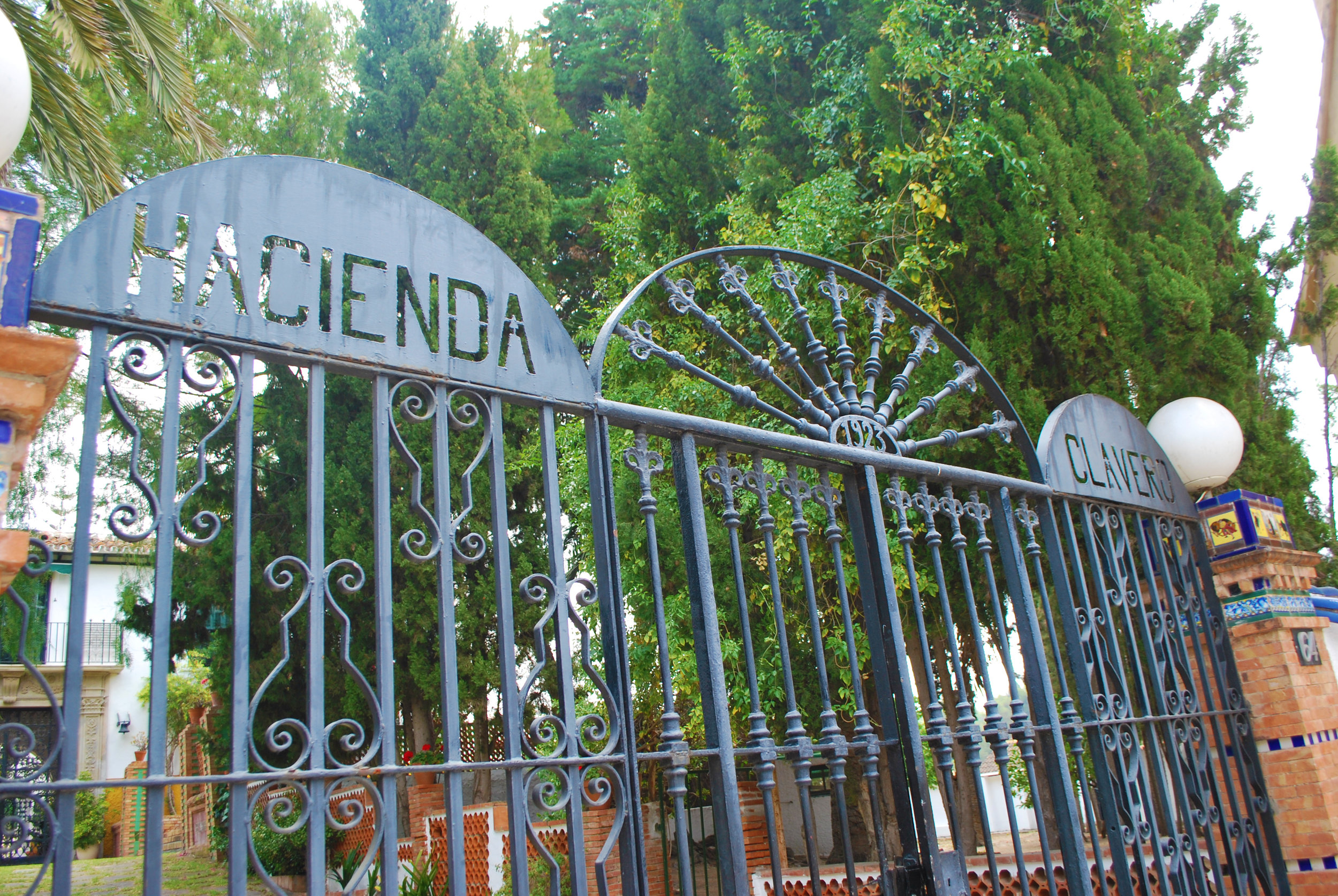 The grand gates leading to the entrance.