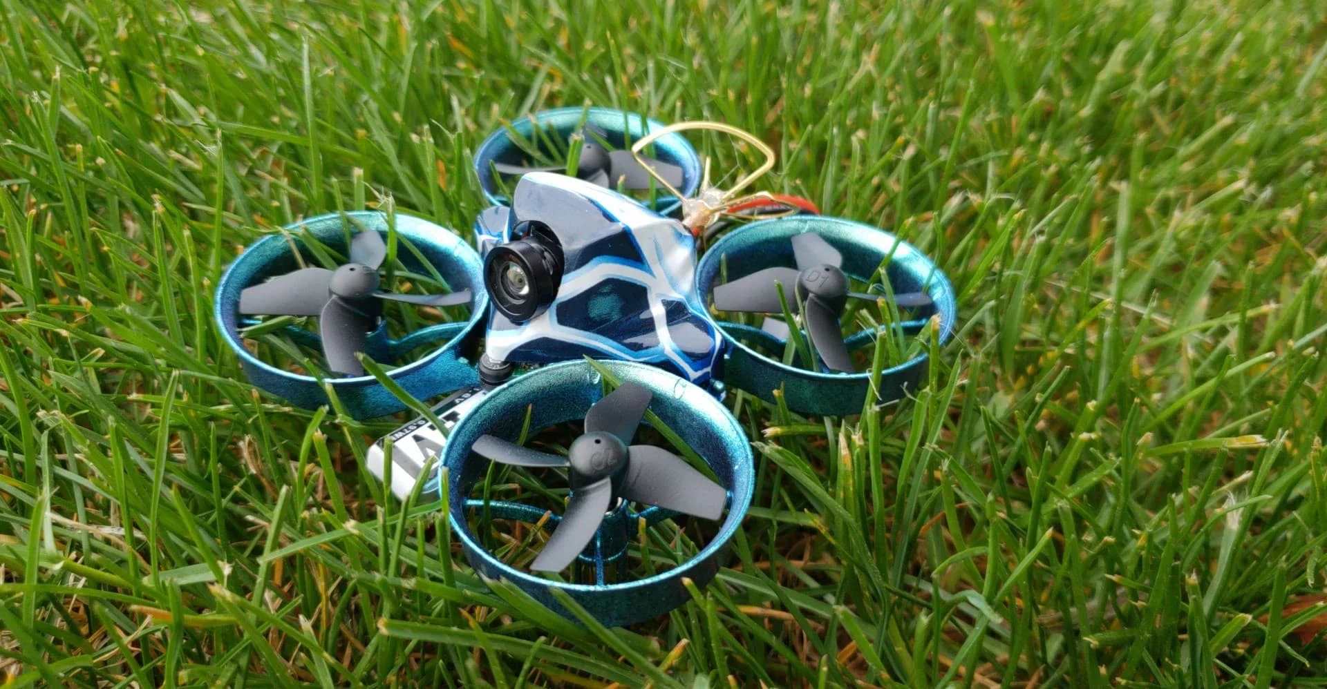 The Tiny Whoop Bug