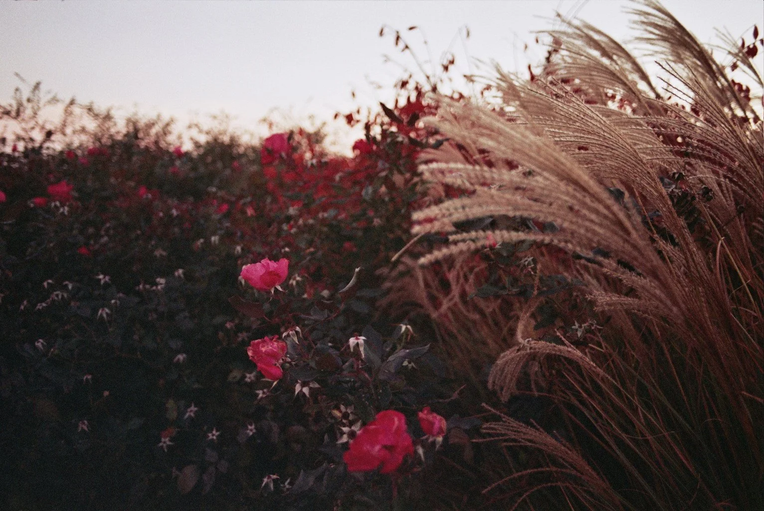 _10_0010.jpg