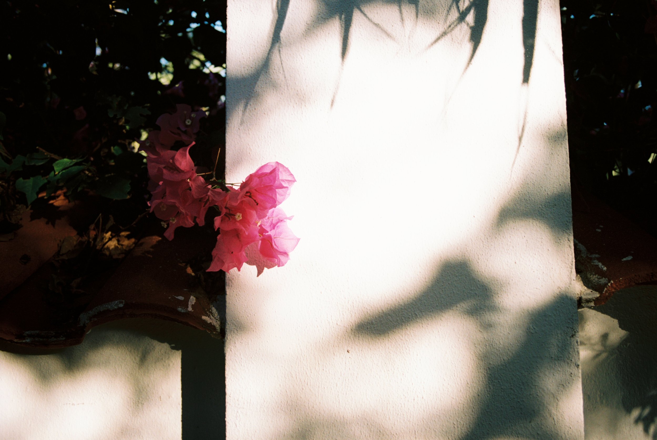 7800000_7800000-R1-070-33A.jpg