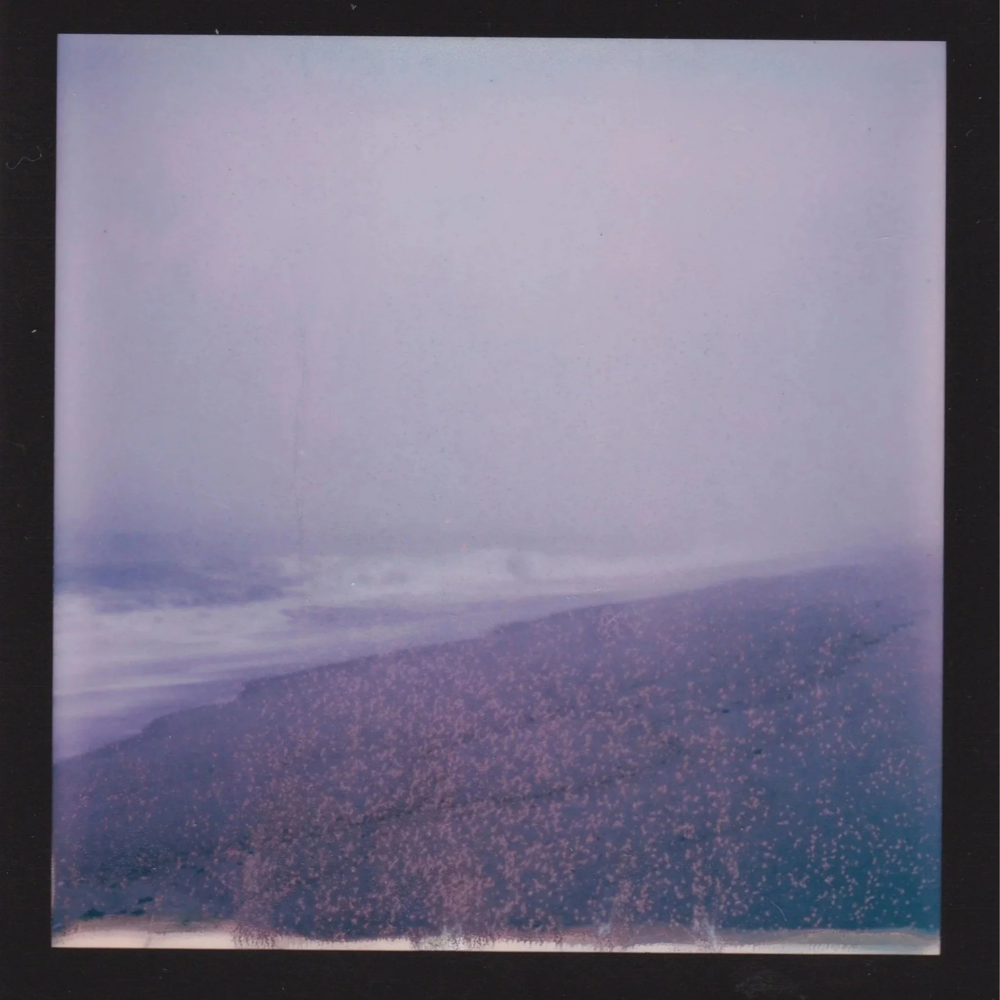 Polaroid