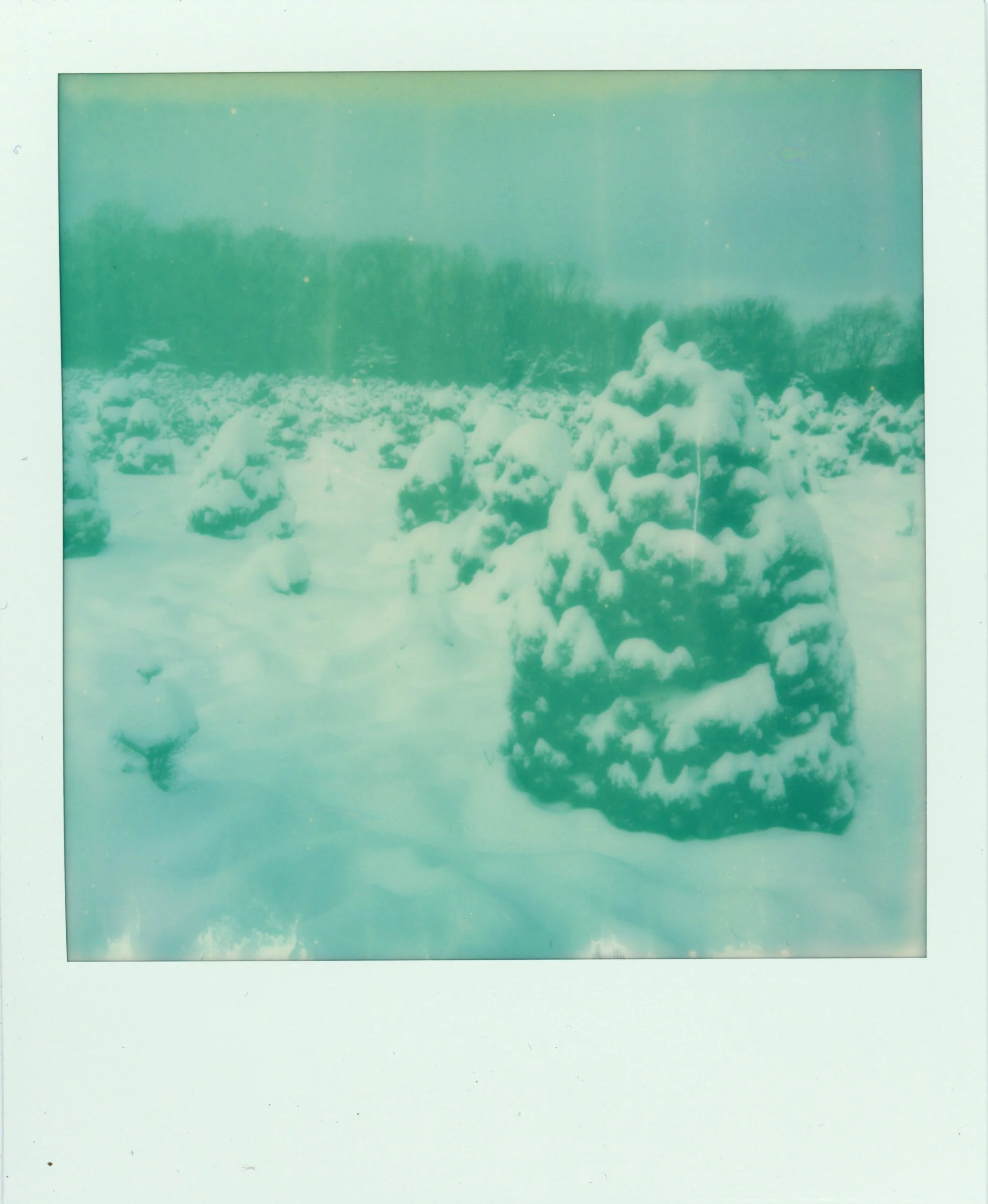 Scan 1.jpg