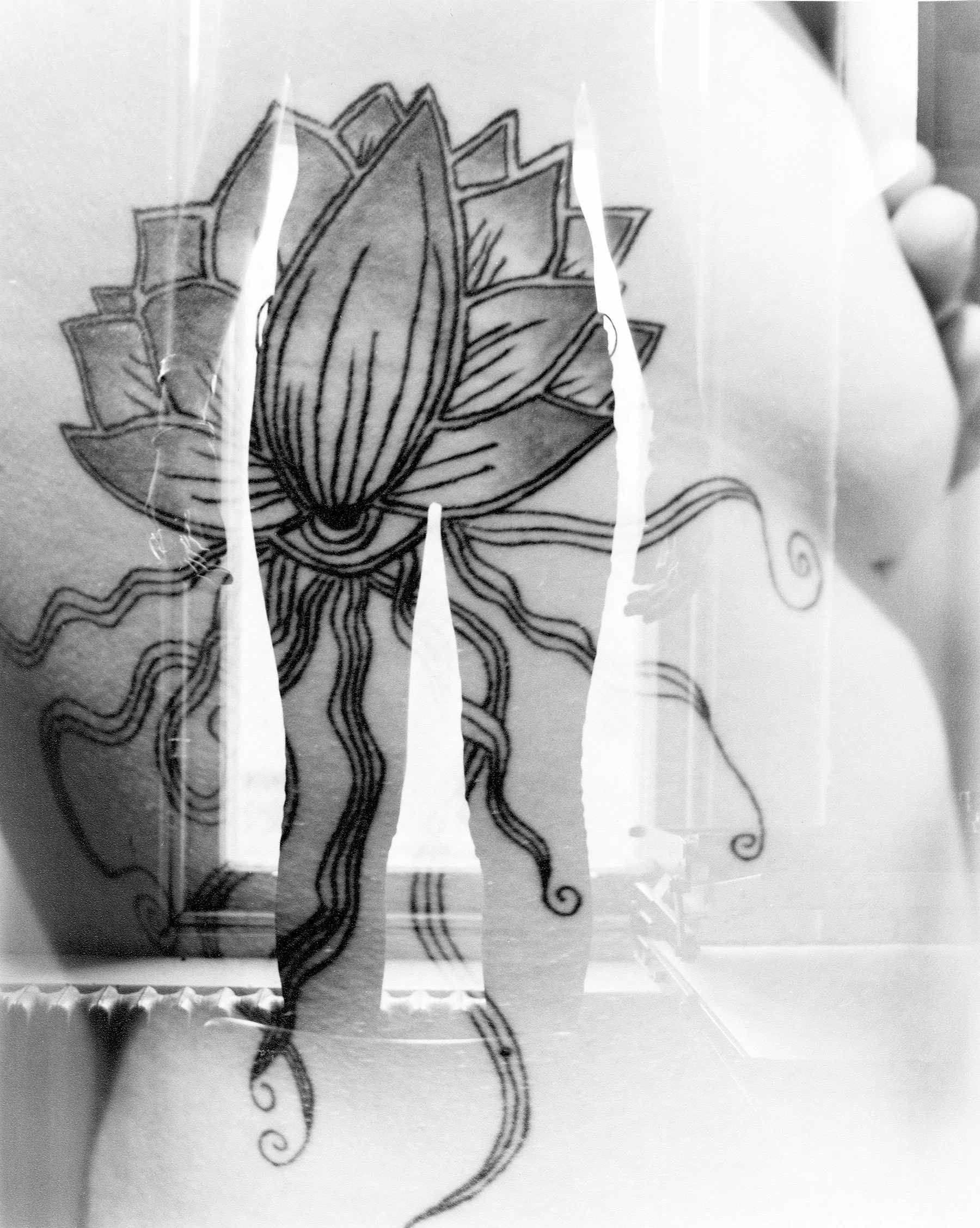 double exp 1 resized.jpg