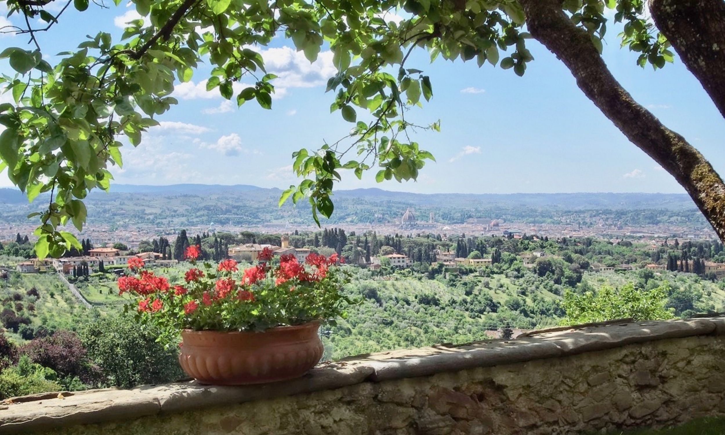 GardenView1.jpg
