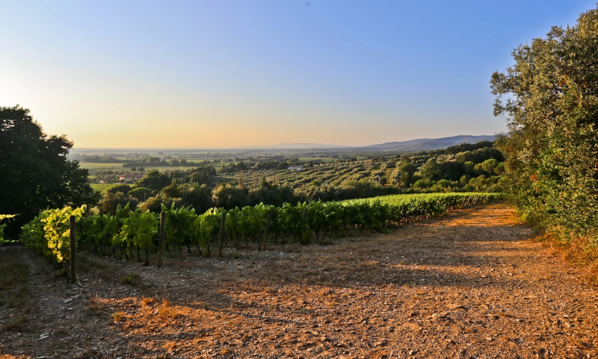 Surroundings-04.jpg