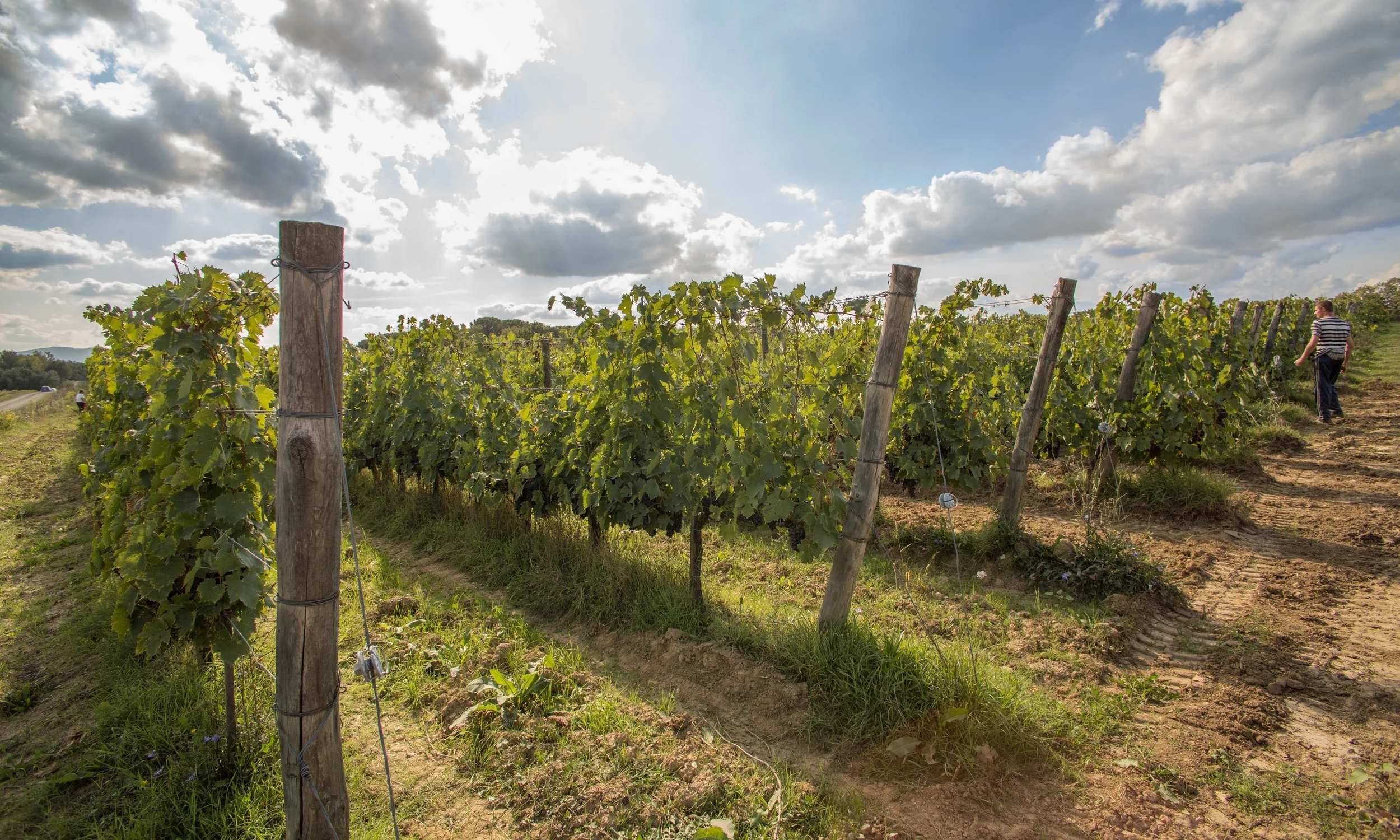 Winery_01.jpg