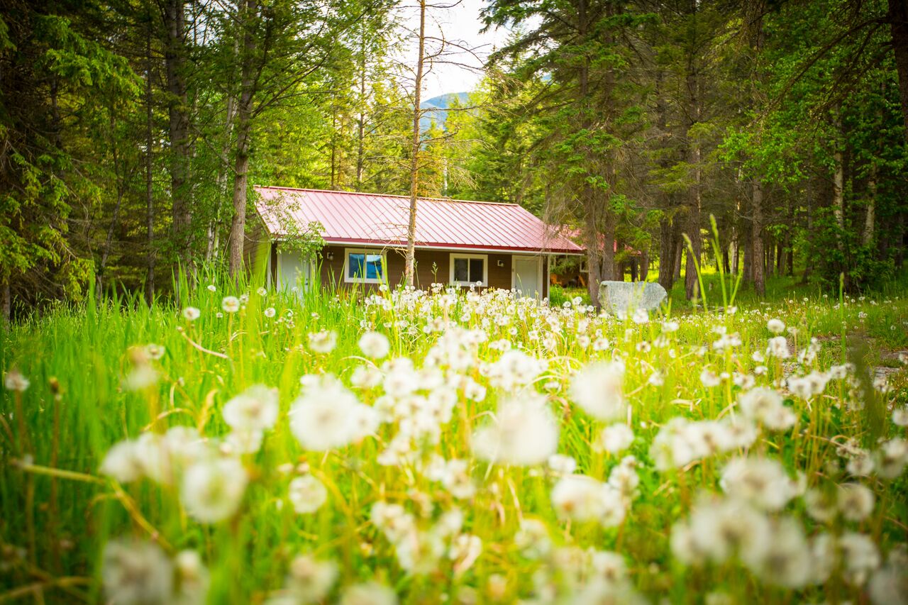 cosy cabins2.jpg