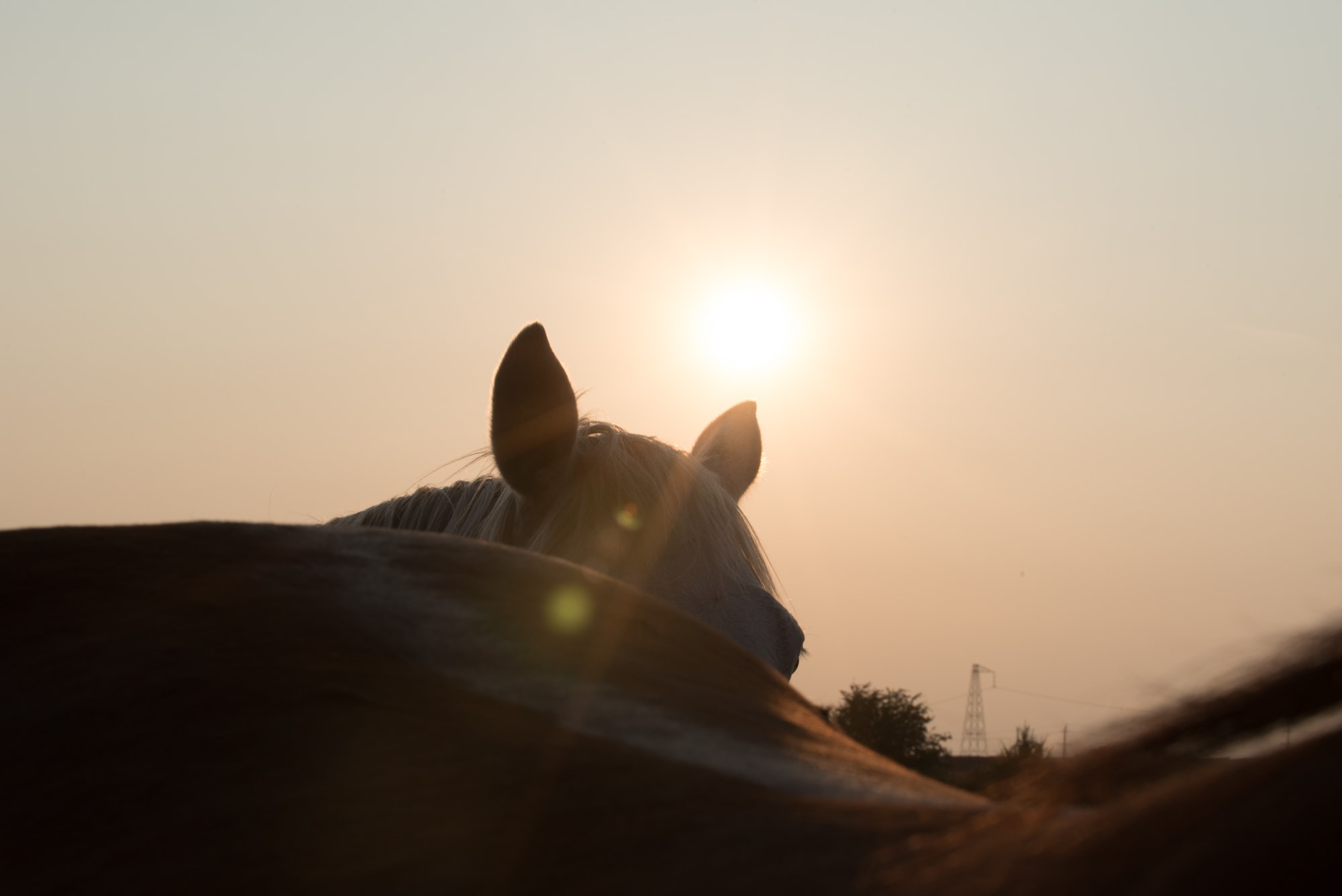 DSC_2051-min.jpg