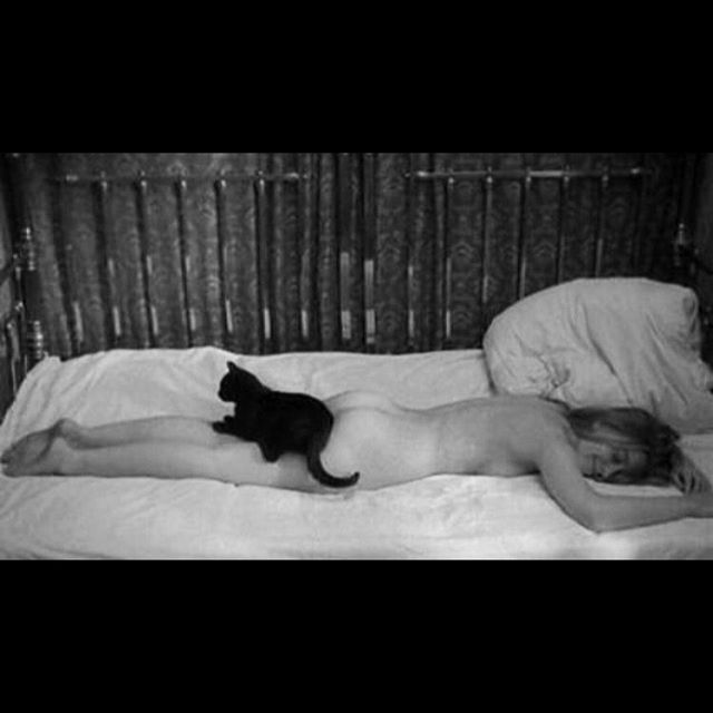 Stay in bed Sunday !! #sundayvibes #scionsofsedition #edgeforeveryone #monanunezstyle #blackandwhitephoto #pussycat #blackcatstagram #sleepinginthenude
