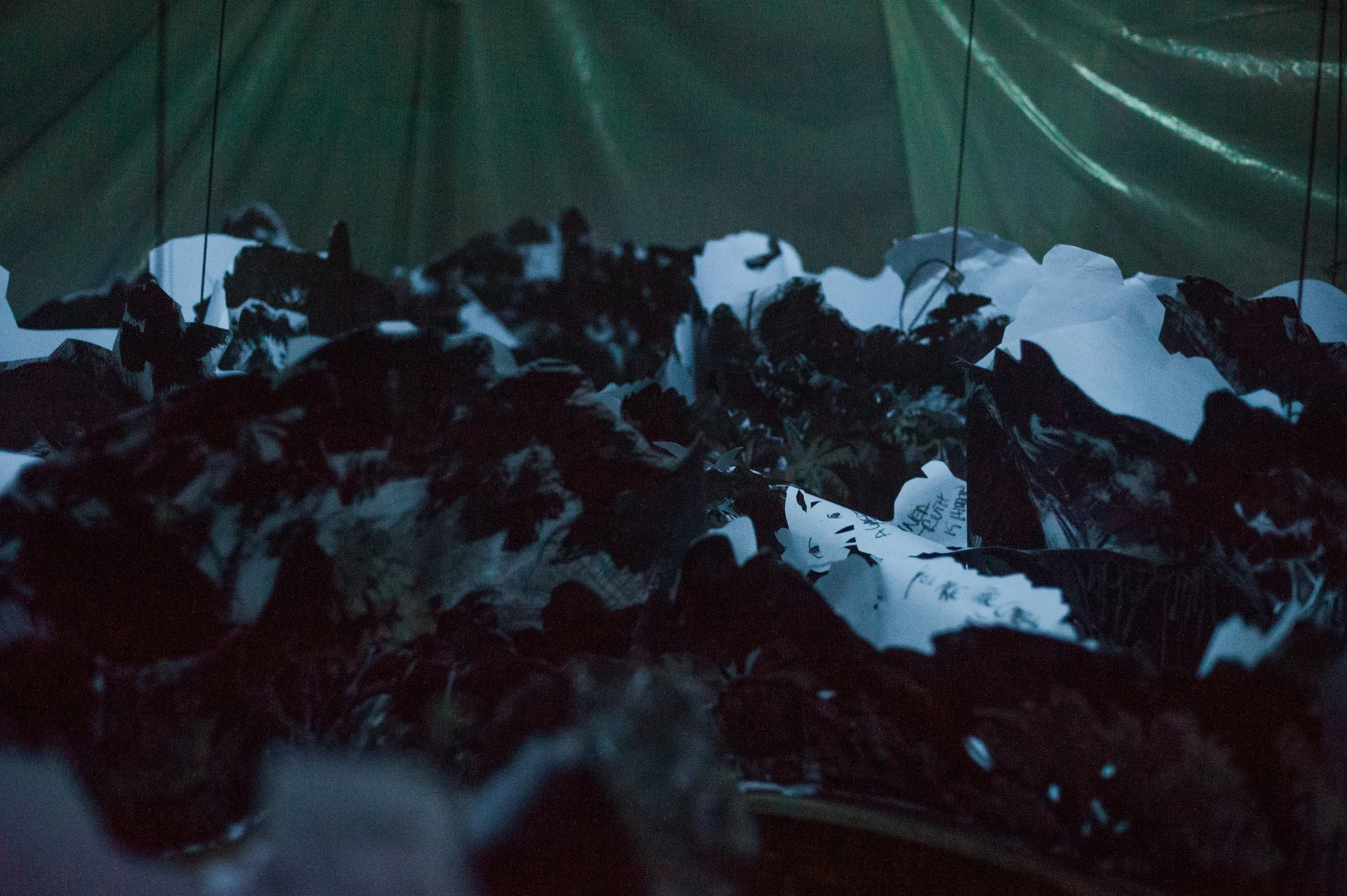 EileenMenyPhotography_HeartofDarkness-68.jpg