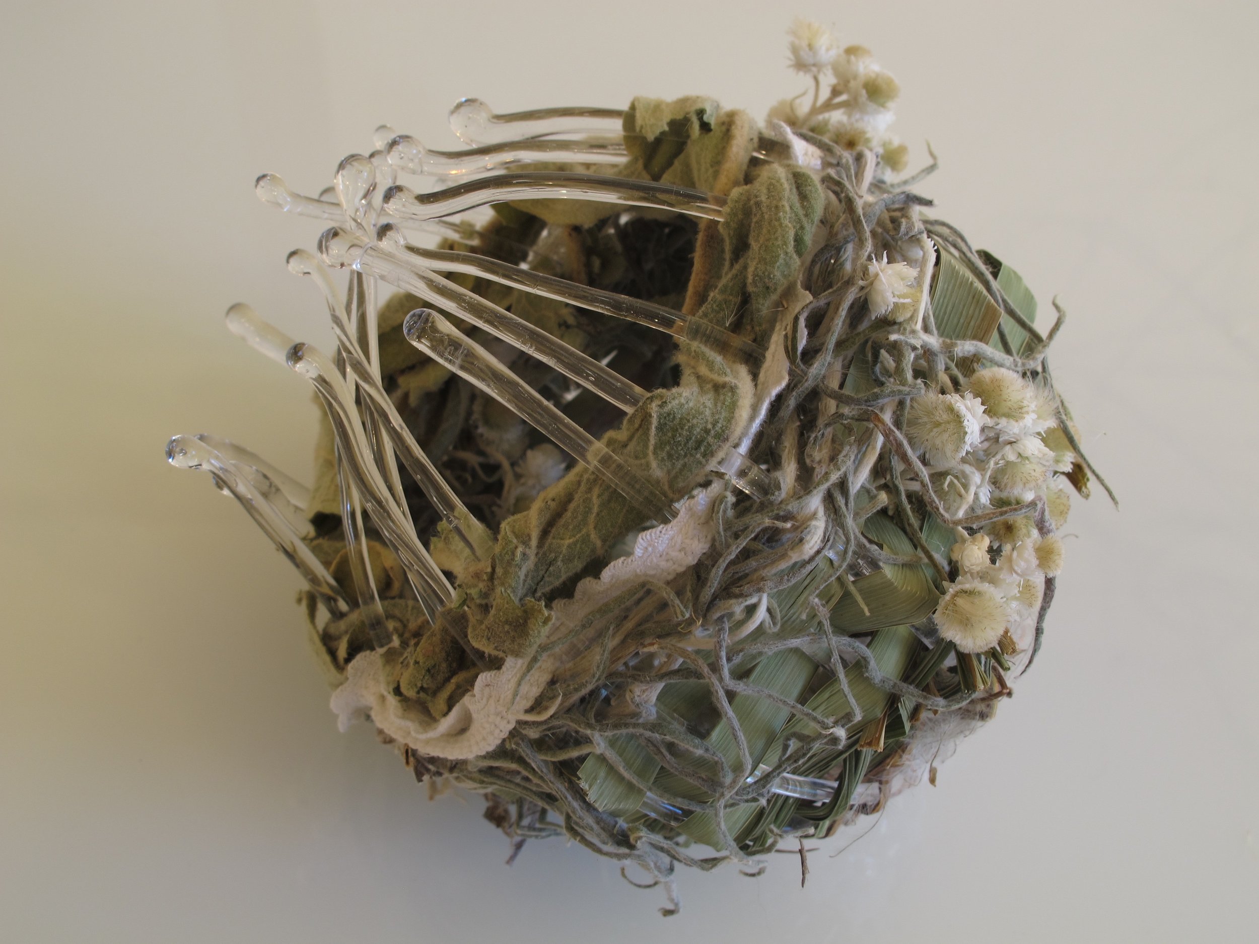 Gathered Memories 2 flame worked glass, grass, mullein, pearly everlasting, bull rush, wild clematis, cotton, copper 14 h x 16 l x 15 d cm 2016