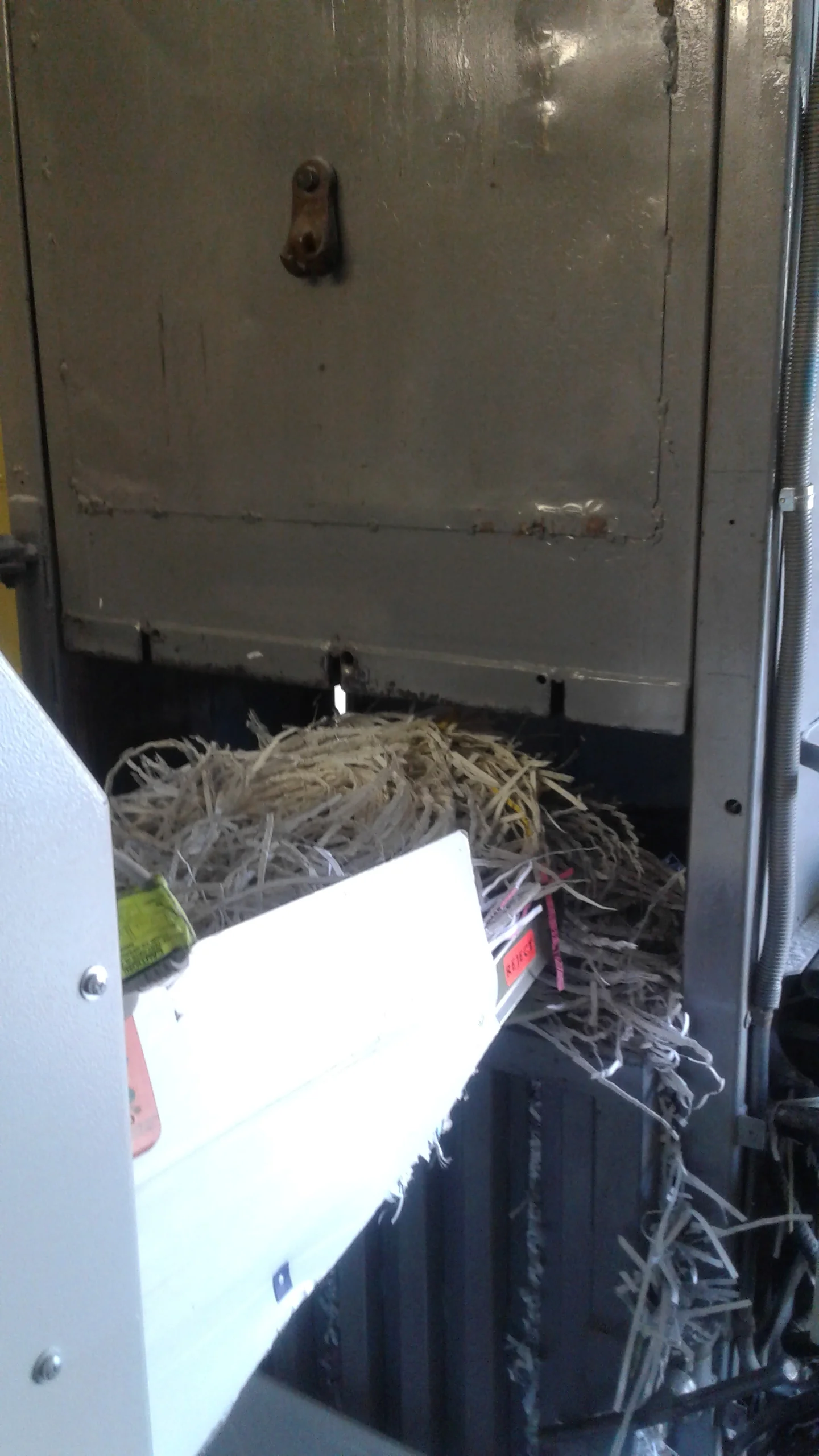 20160405_124841.jpg