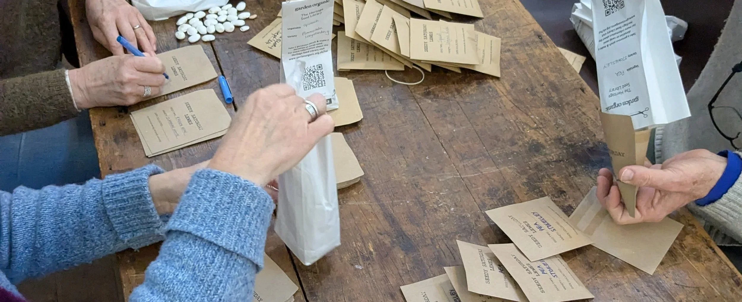 Sorting seeds 2025 2.jpg