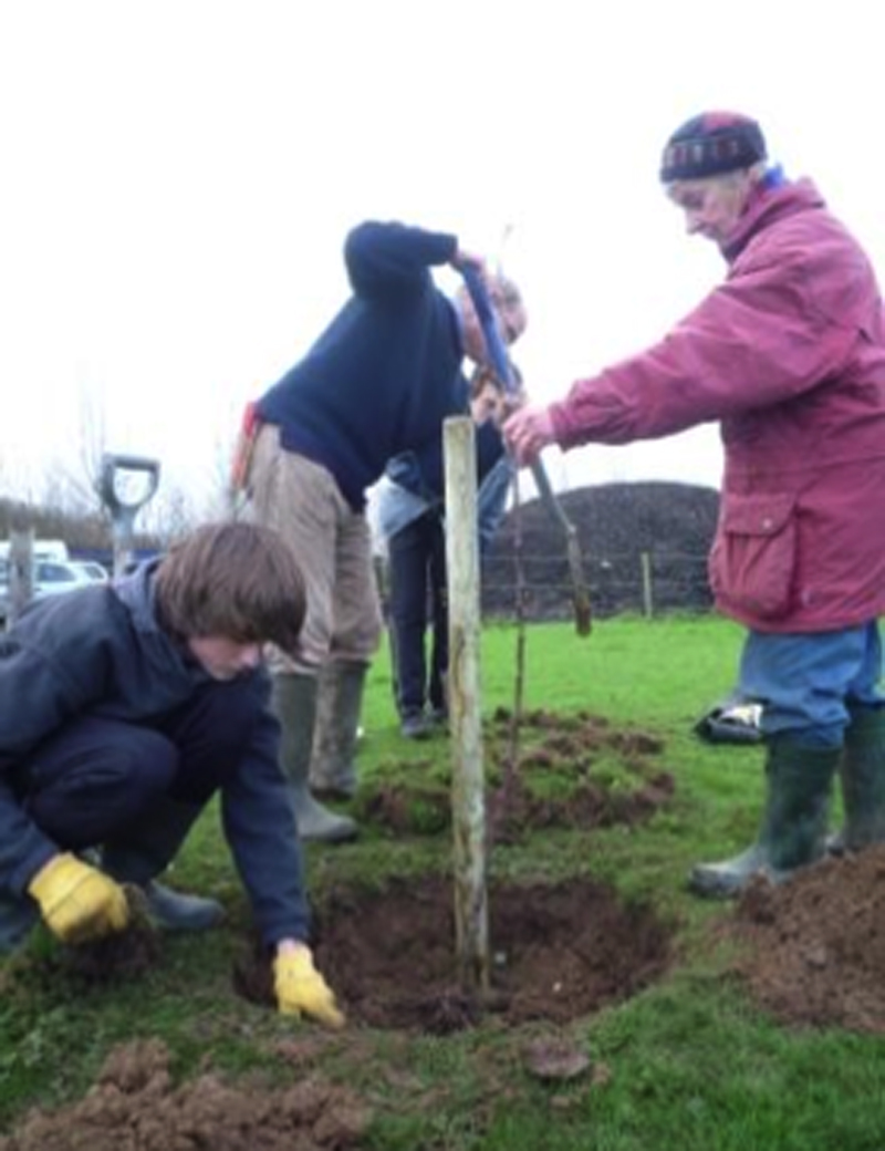 Planting a tree for web.jpg