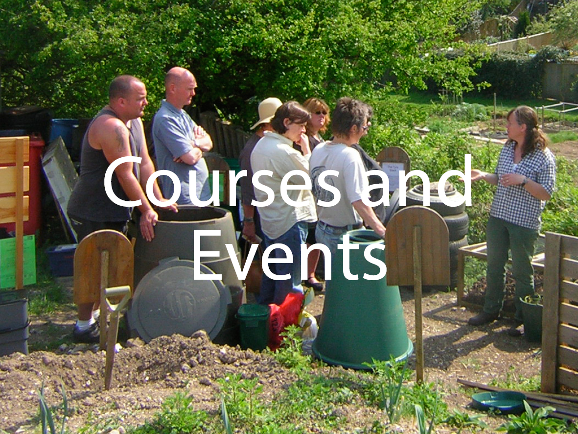 Link to Courses and Events Page