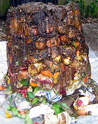 The Compost Doctor Common Cause The Compost Doctor Common Cause
