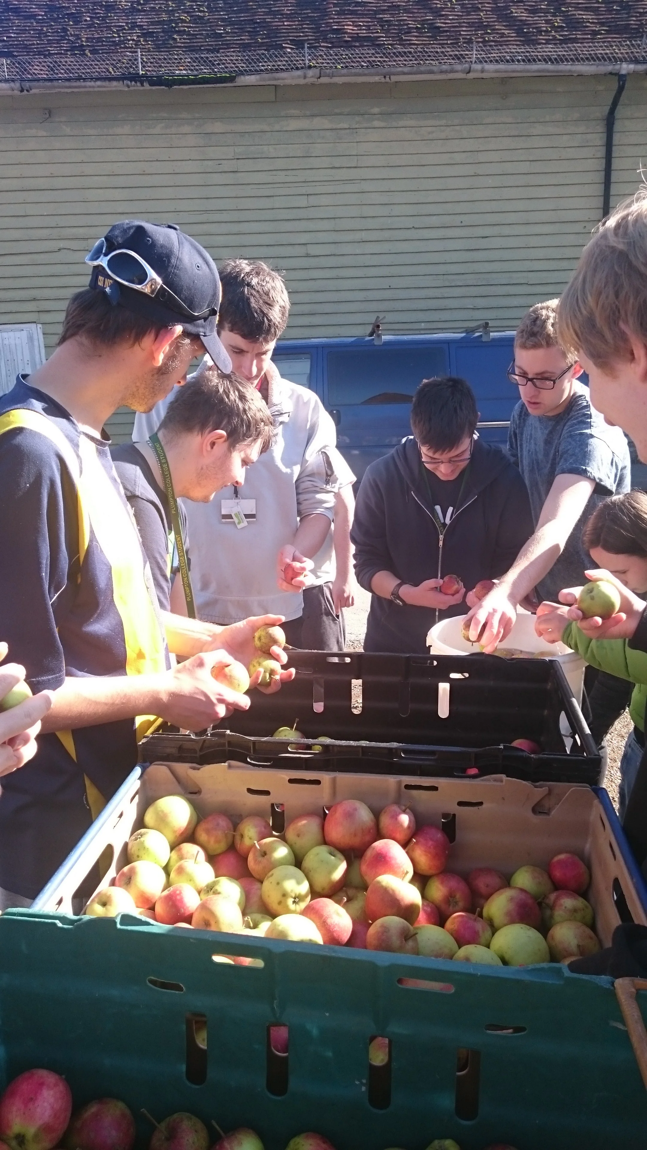 Checking over the apples
