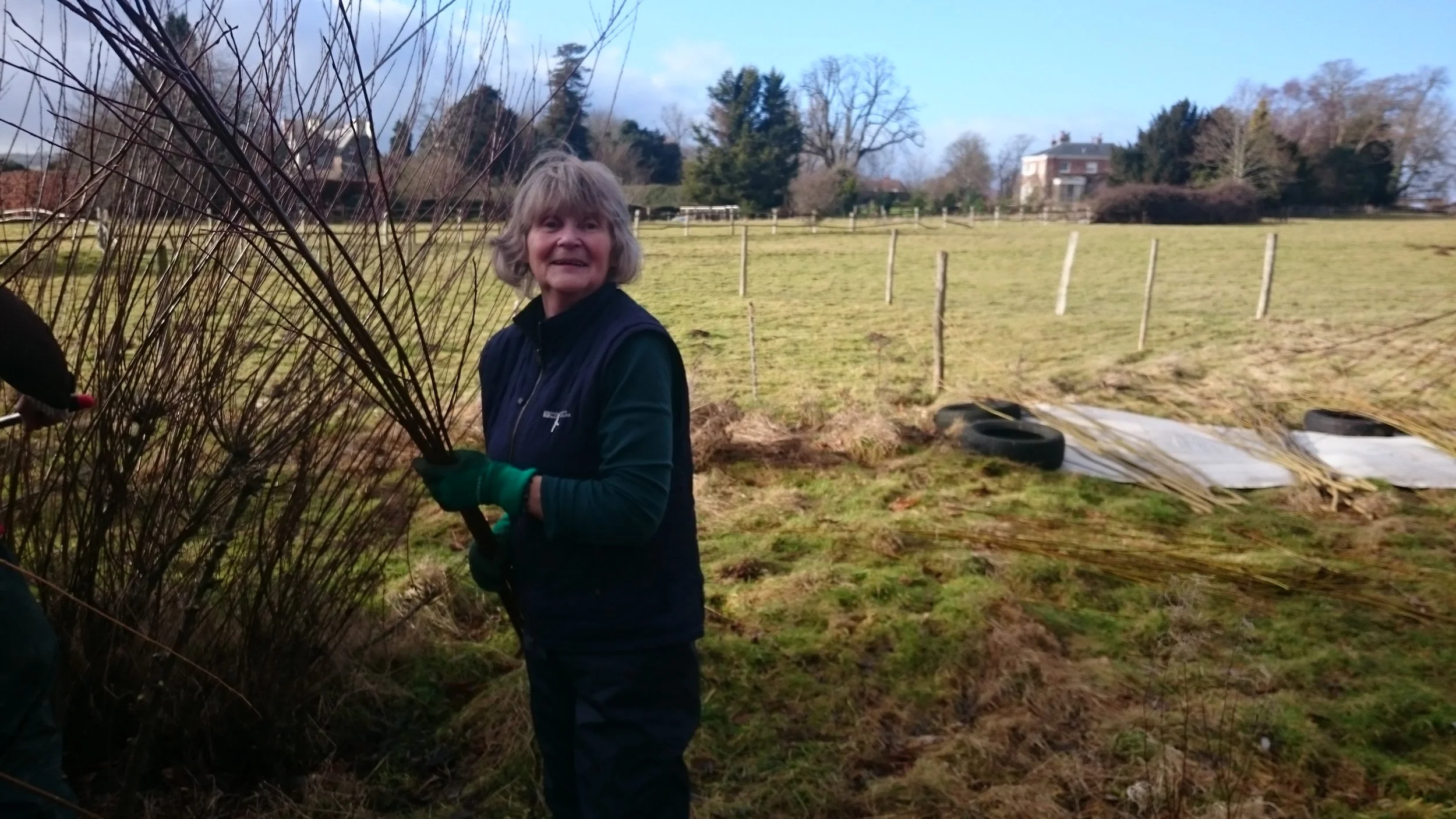 Cutting Willow at Baulcombes Barn