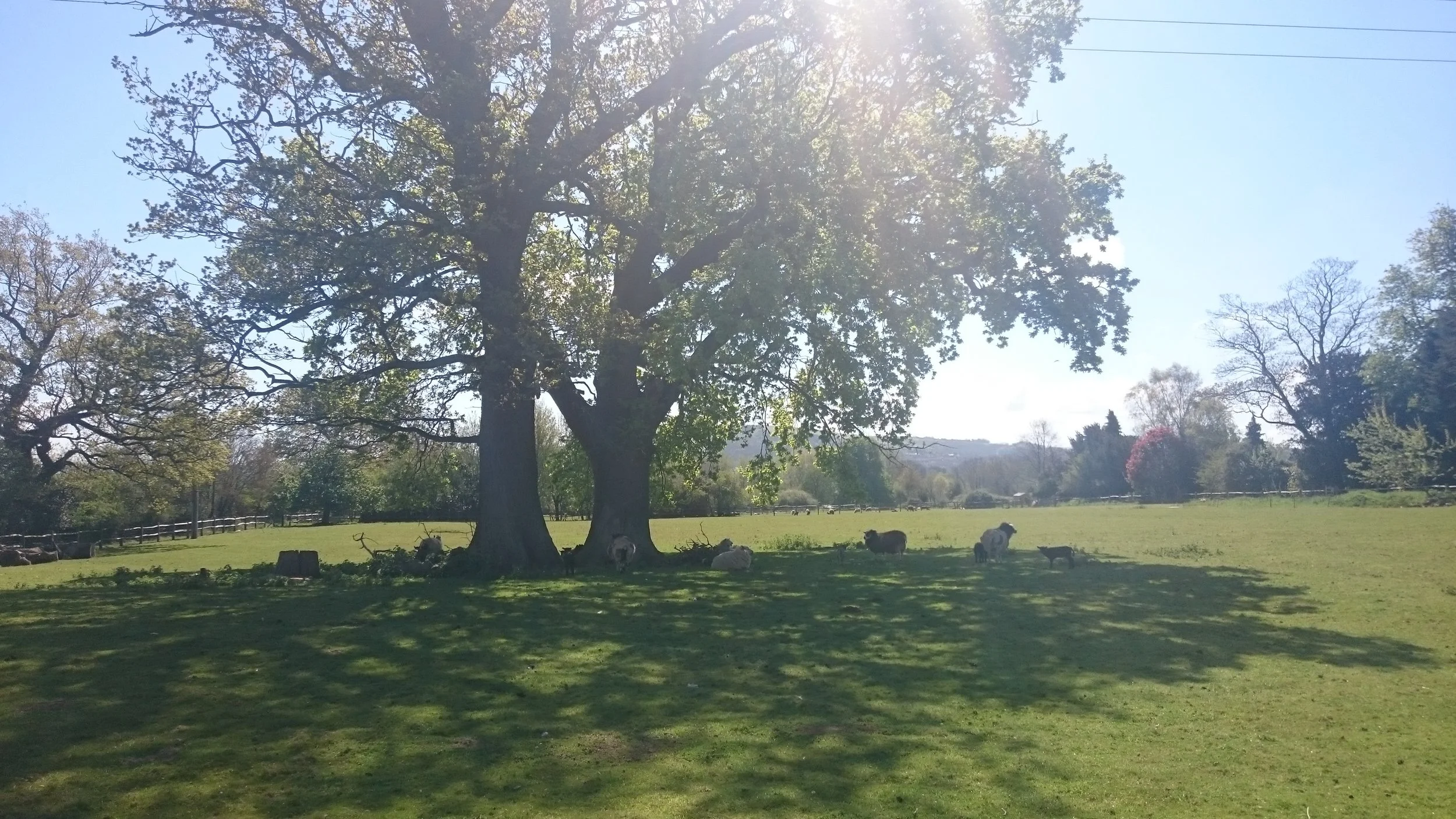 Baulcombes Barn update