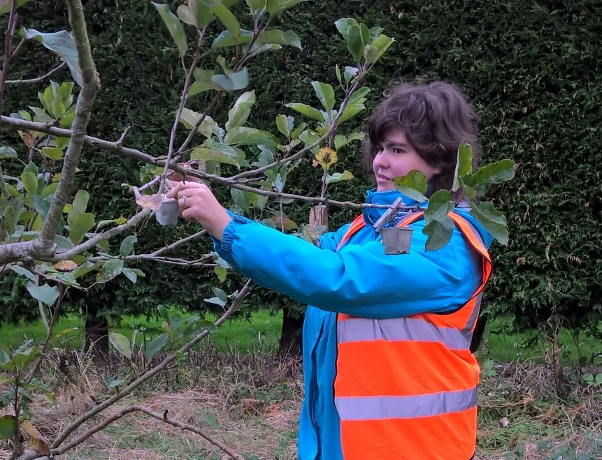Plumpton supported interns at Ringmer Community Orchard, year 2