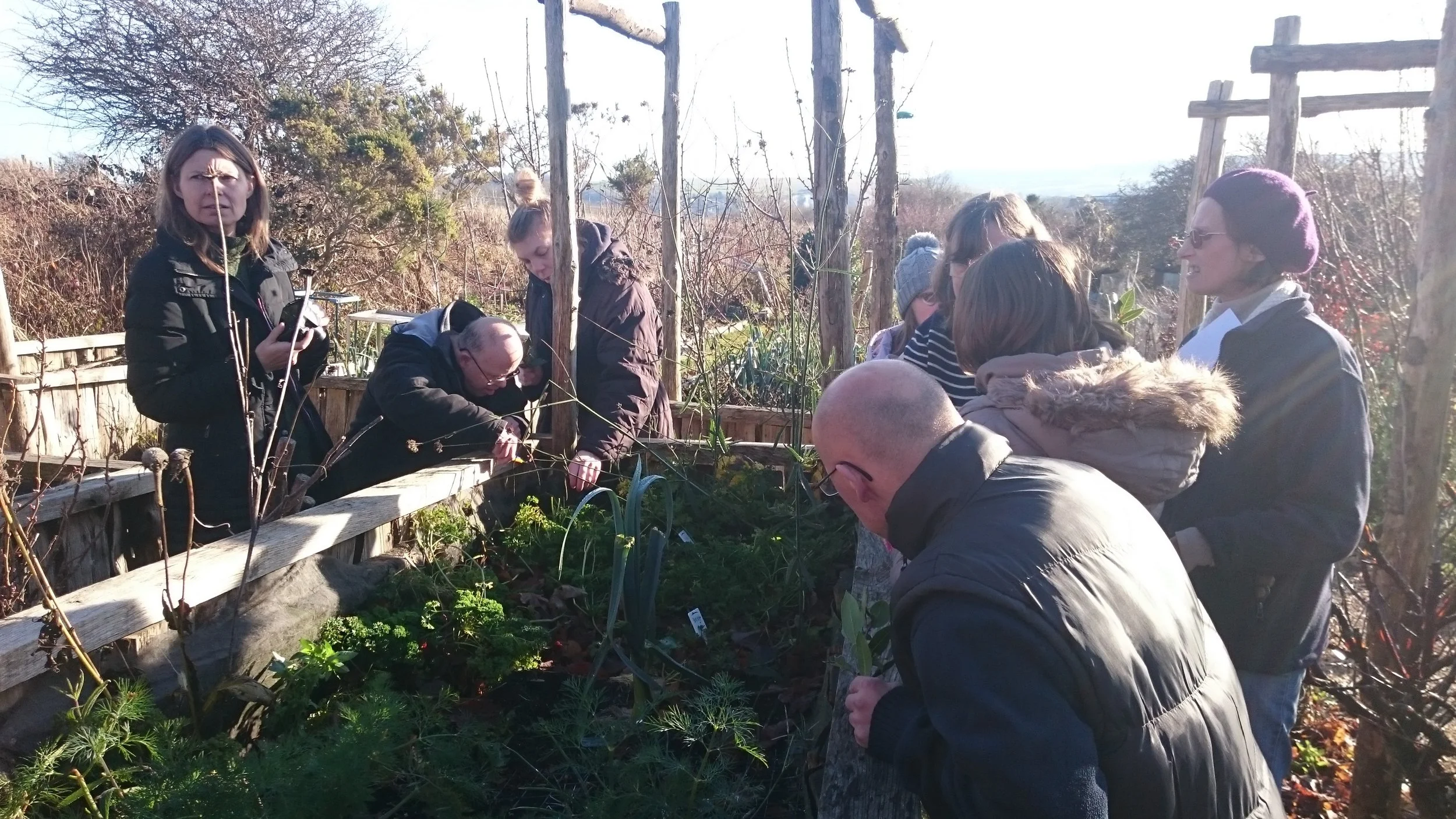 Fire and Feast at the Community Allotment. December 2016