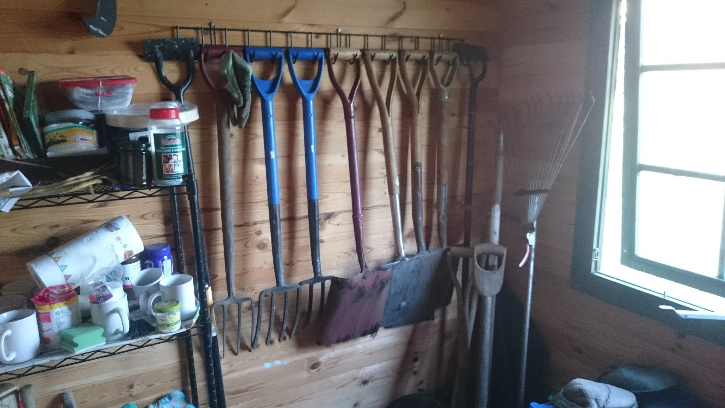 Neatly-hung spades and forks in the shed