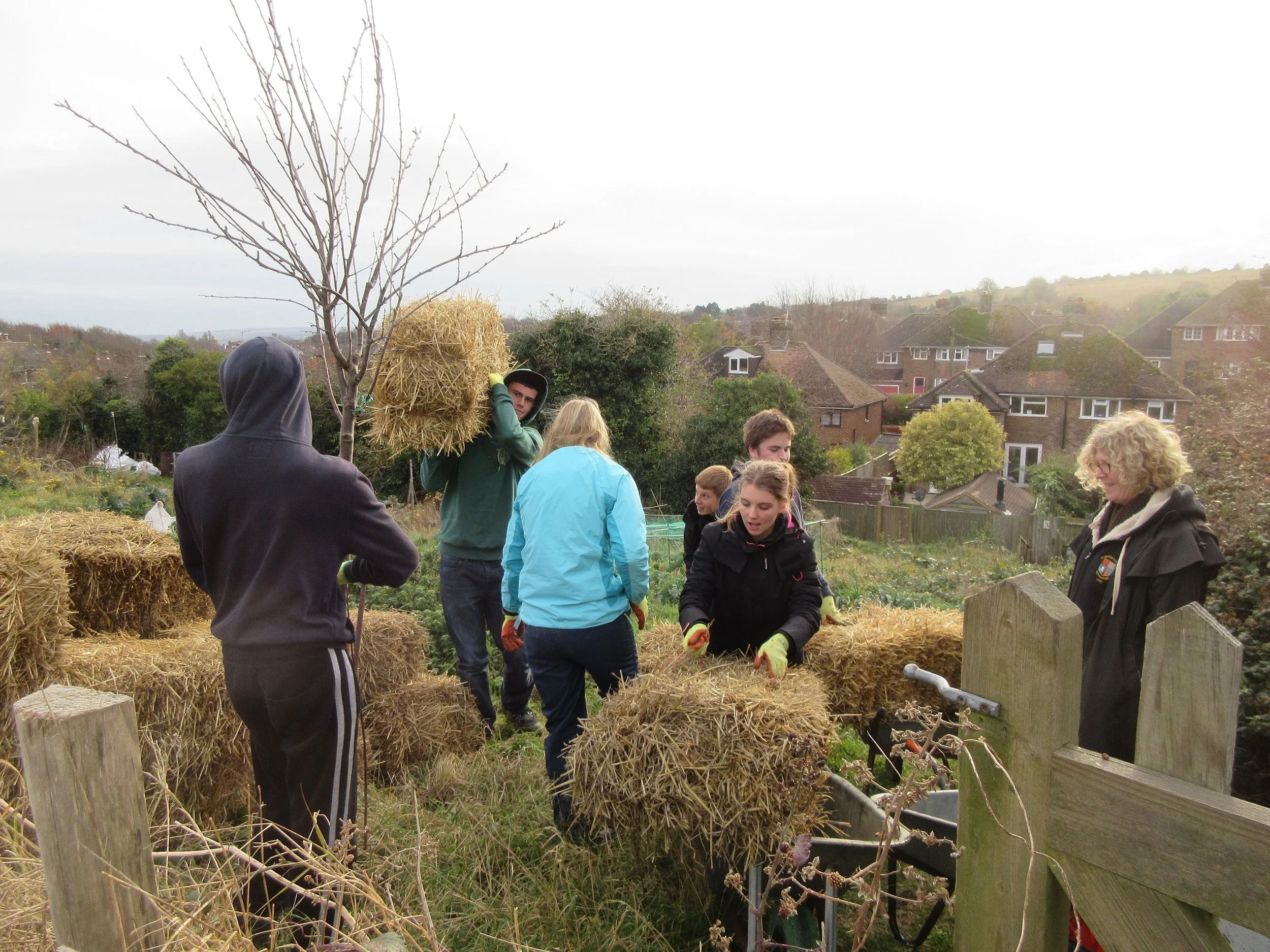 Rural Pathways students moving straw bales