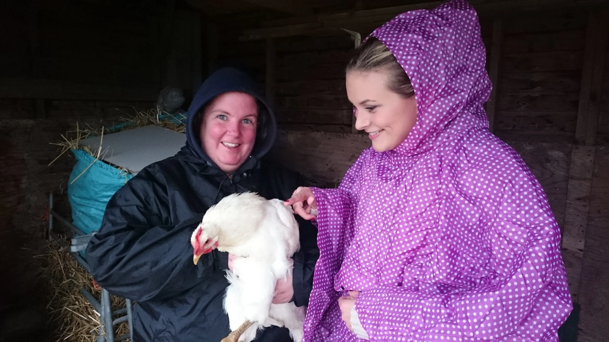 Wet chicken at Baulcombes