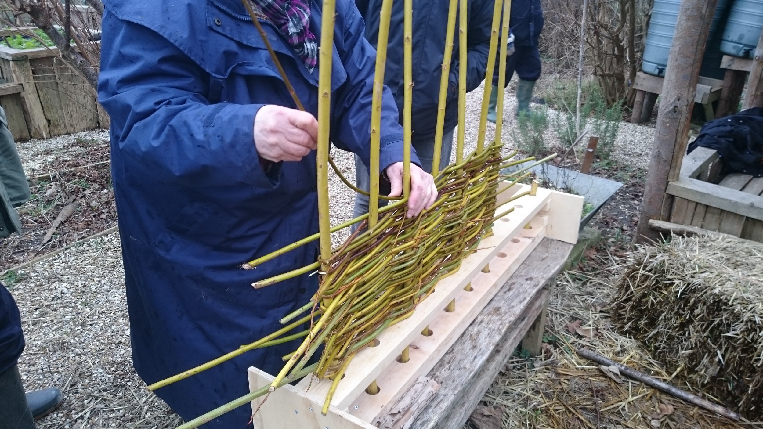 Making willow hurdles at the Allotment — Common Cause