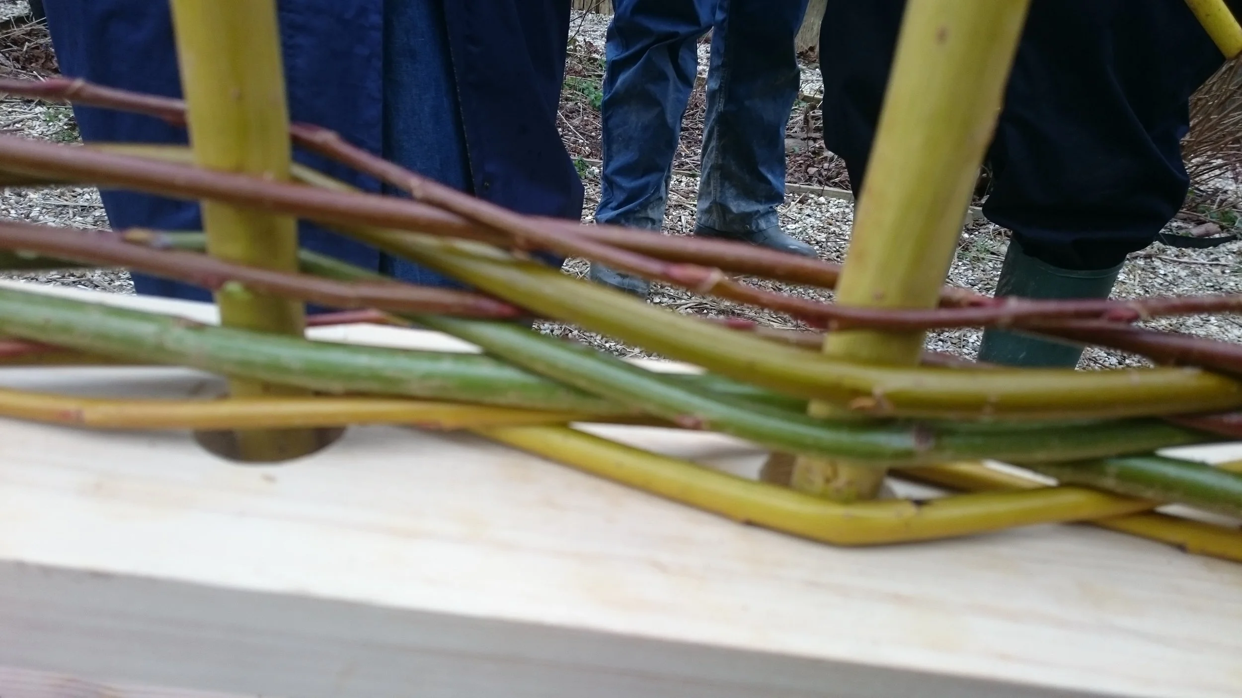 Making willow hurdles at the Allotment — Common Cause
