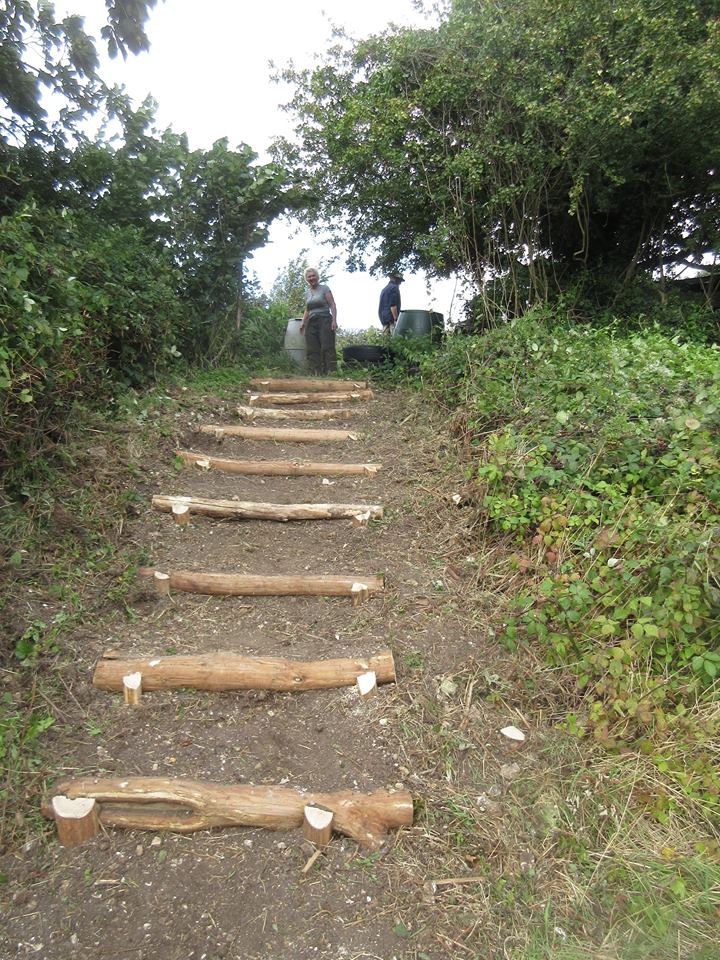 Superbly mended steps, much safer