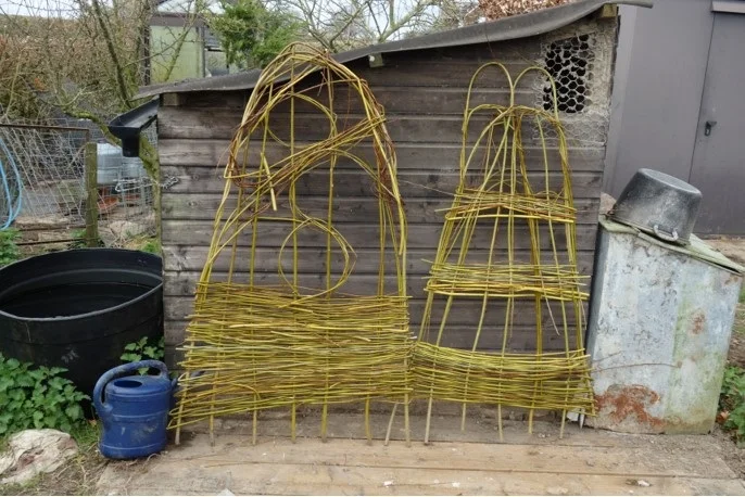 A group did some creative willow weaving