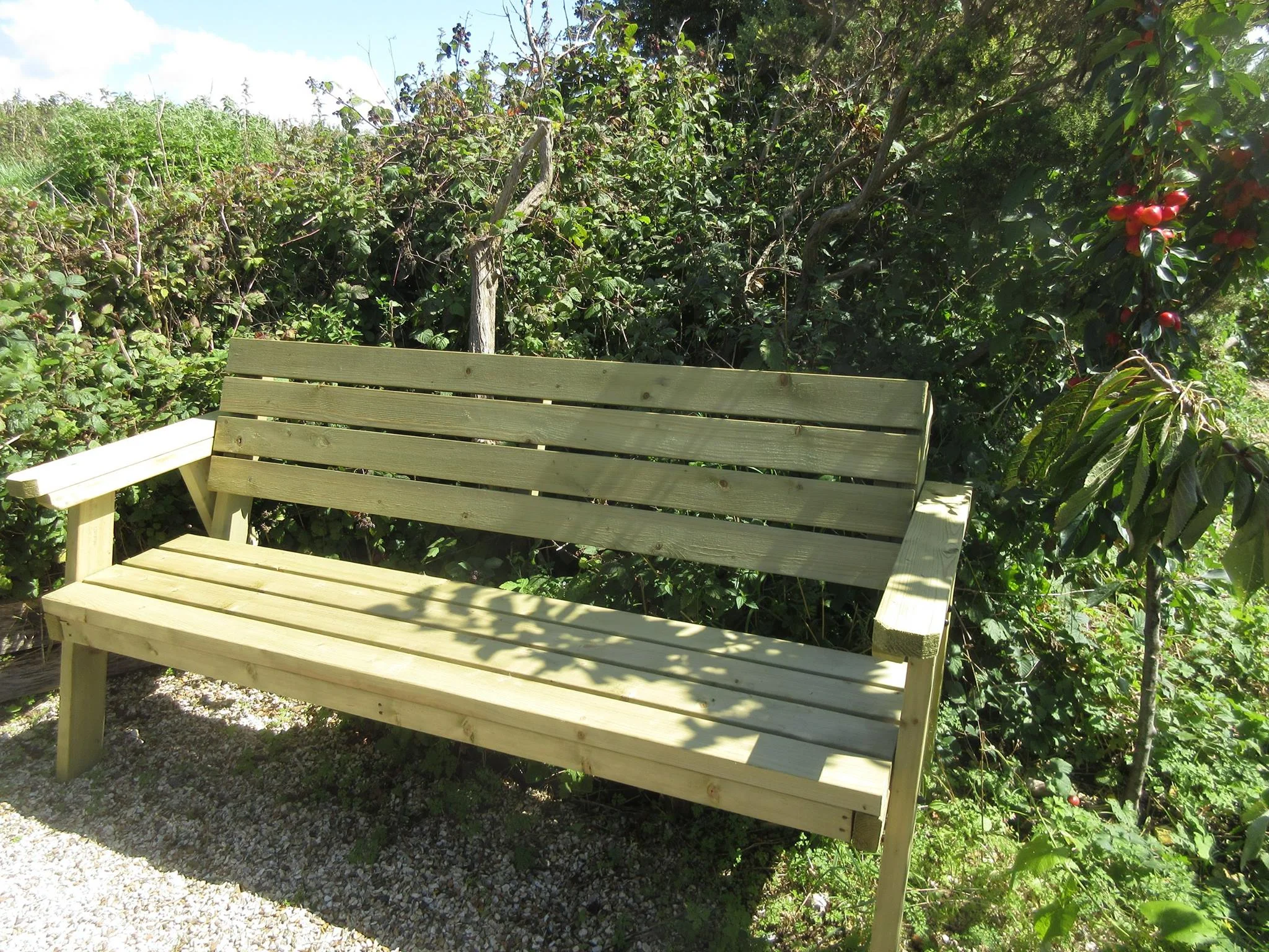 New bench