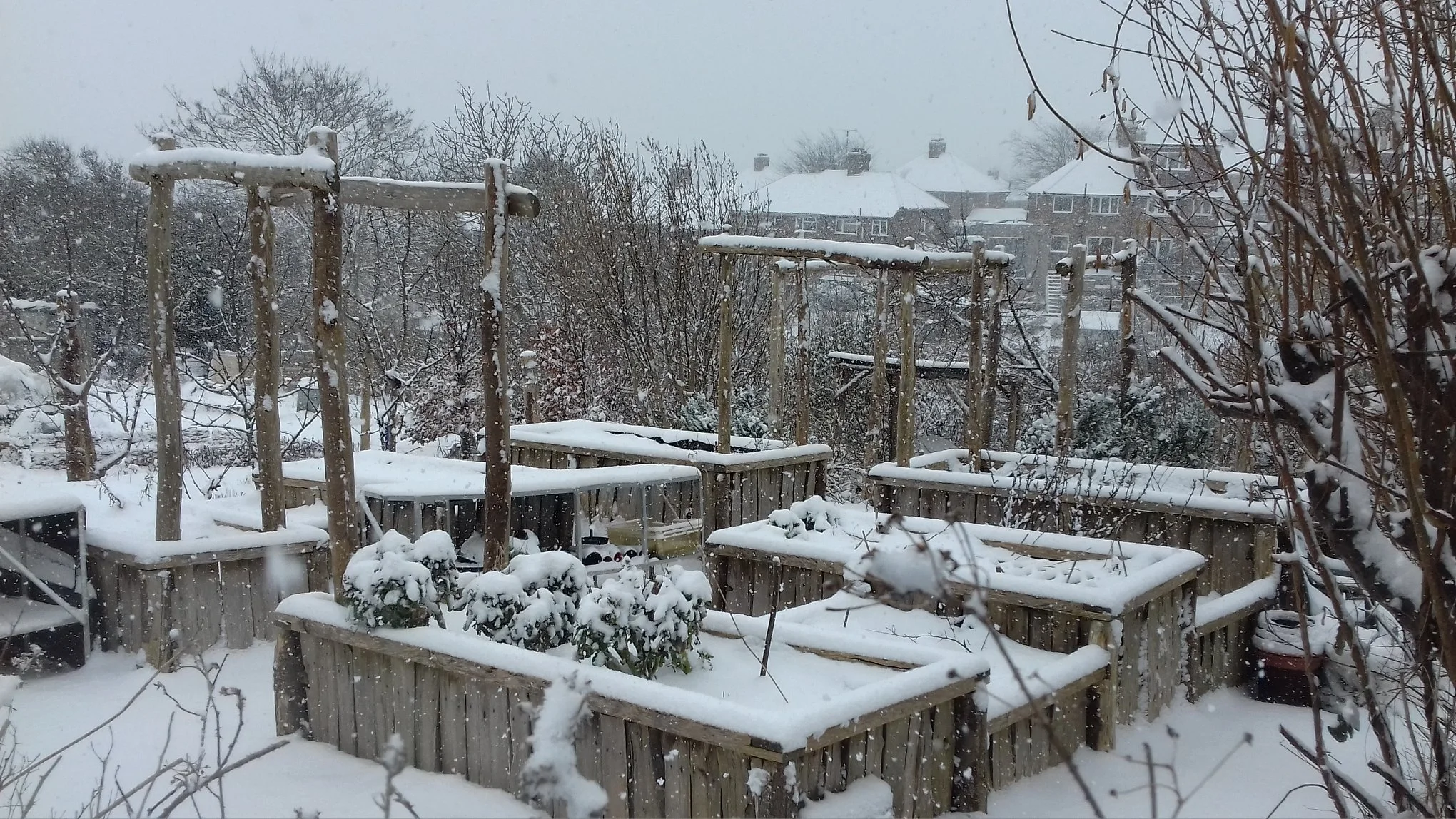 LCA raised beds in snow feb 2018 Ruth