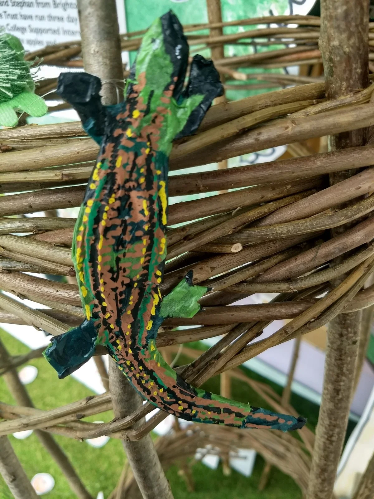 Common lizard