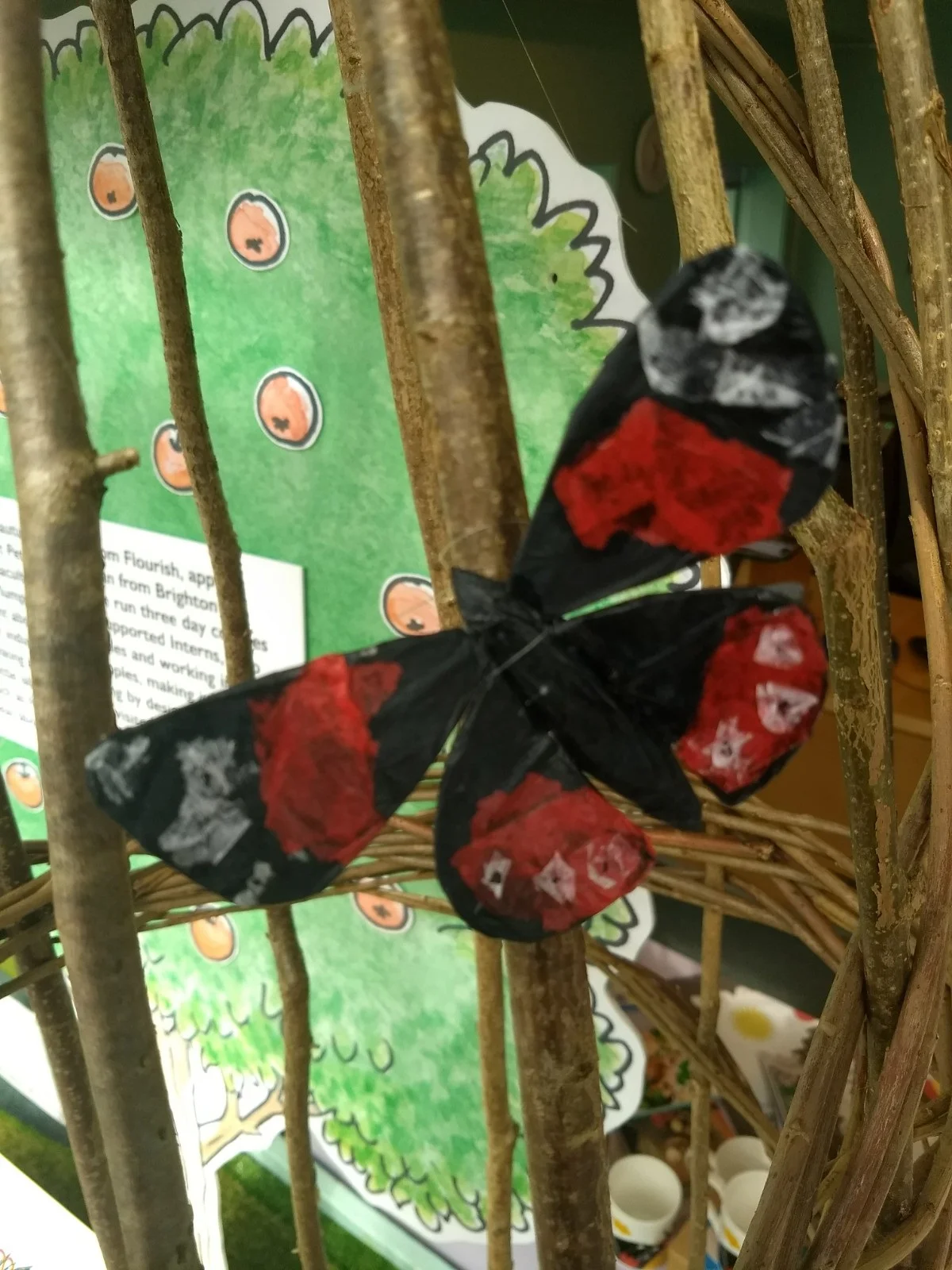 Red admiral