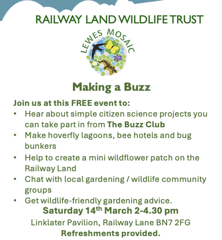 Mosaic Making a Buzz  Mar26 Flier 2.png