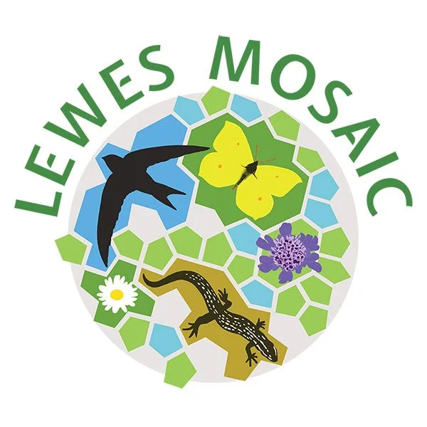 mosaic-logo-72-S-rgb (1).jpg