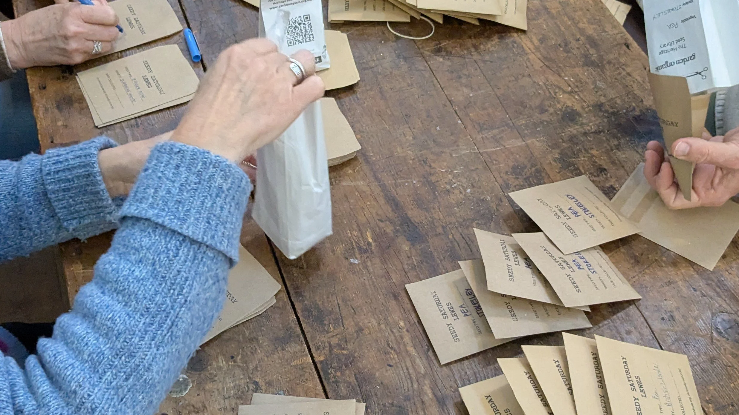 sorting seeds long.jpg