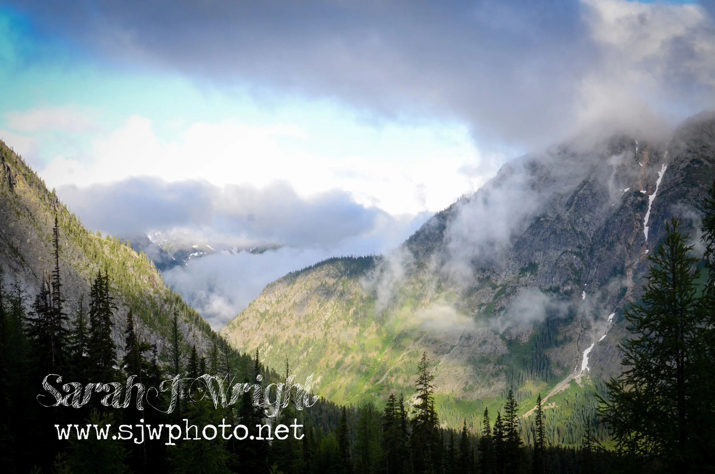 DSC_7516.jpg