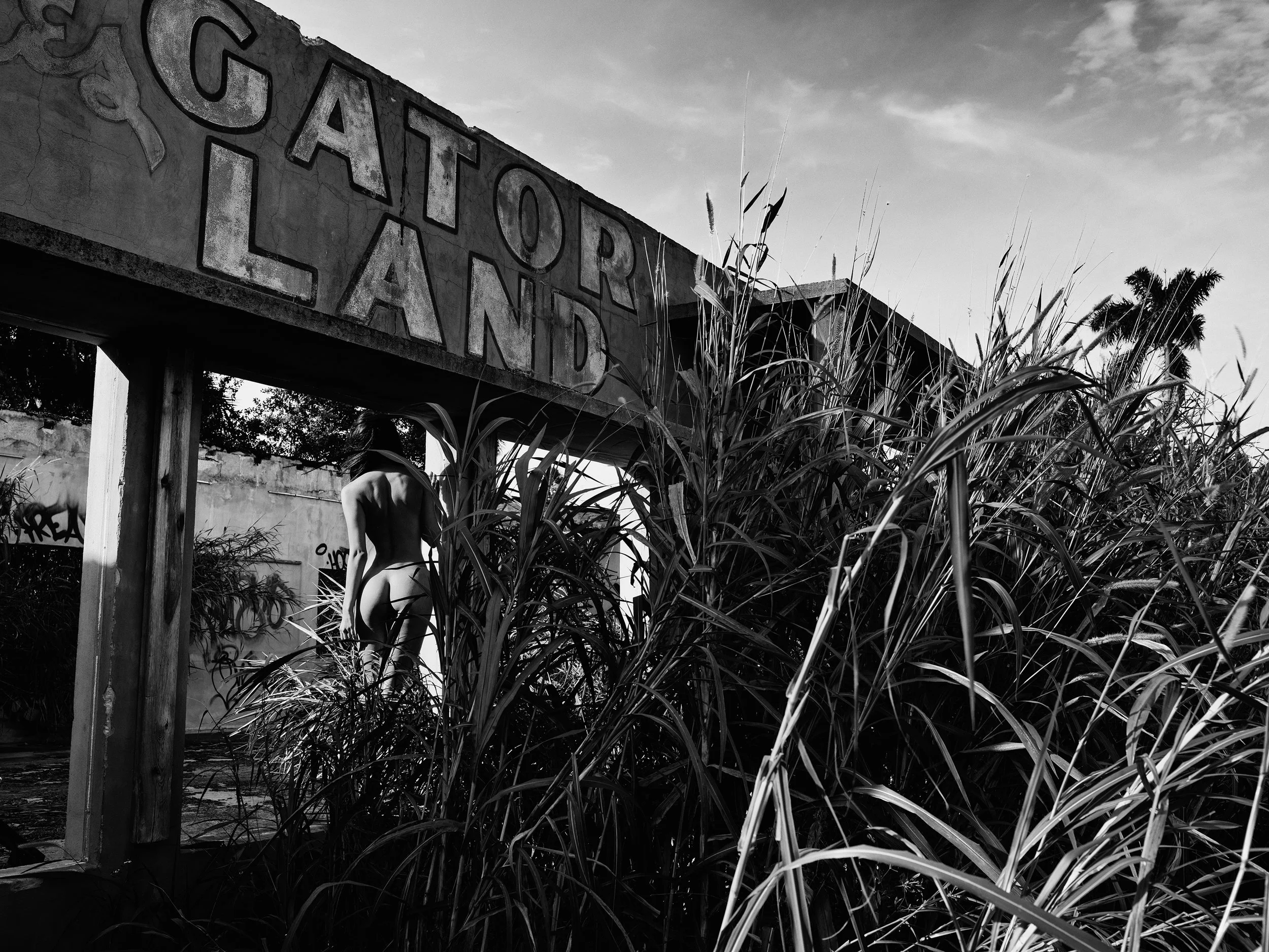 GATORLAND