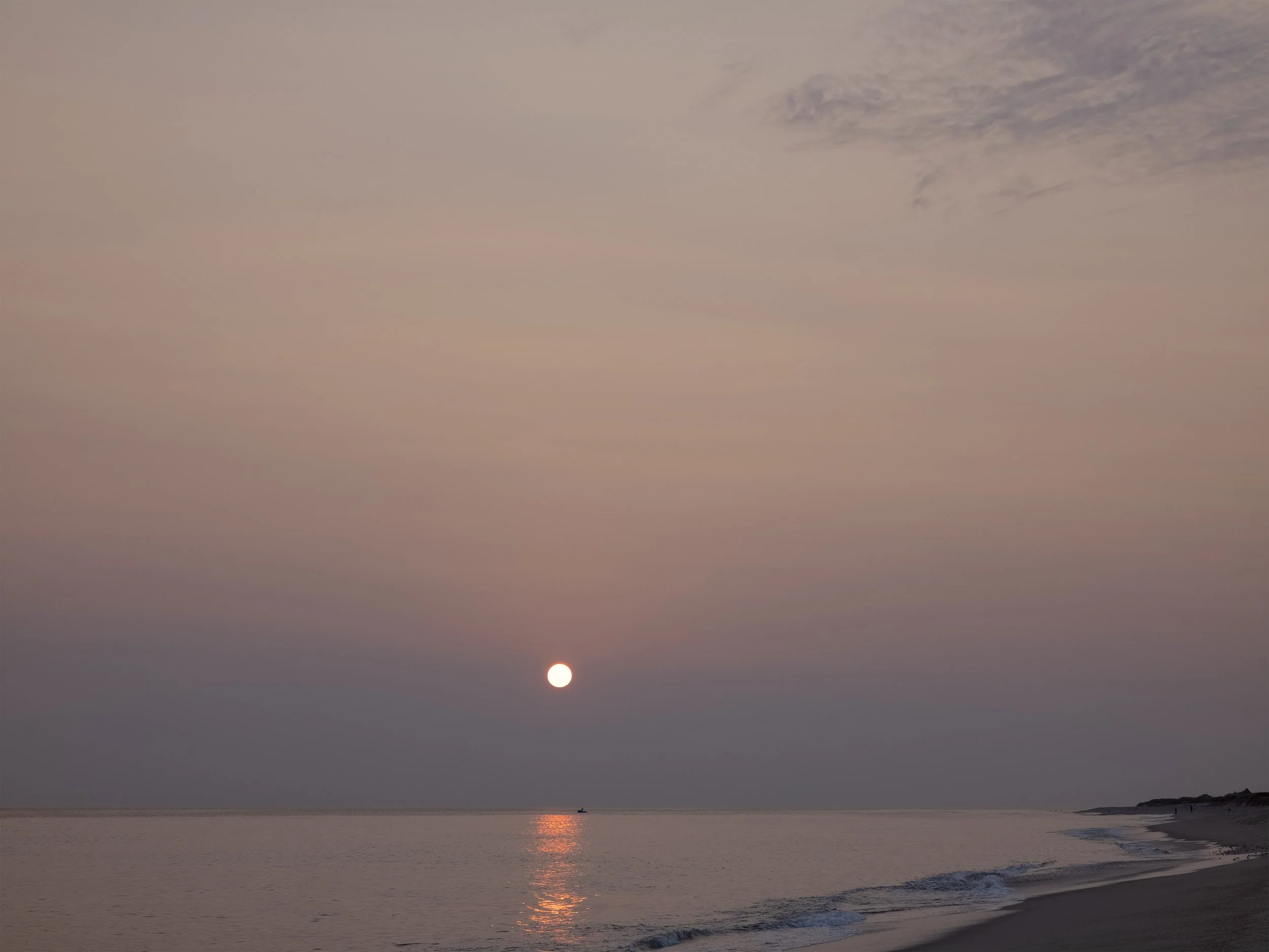Cisco Sunset