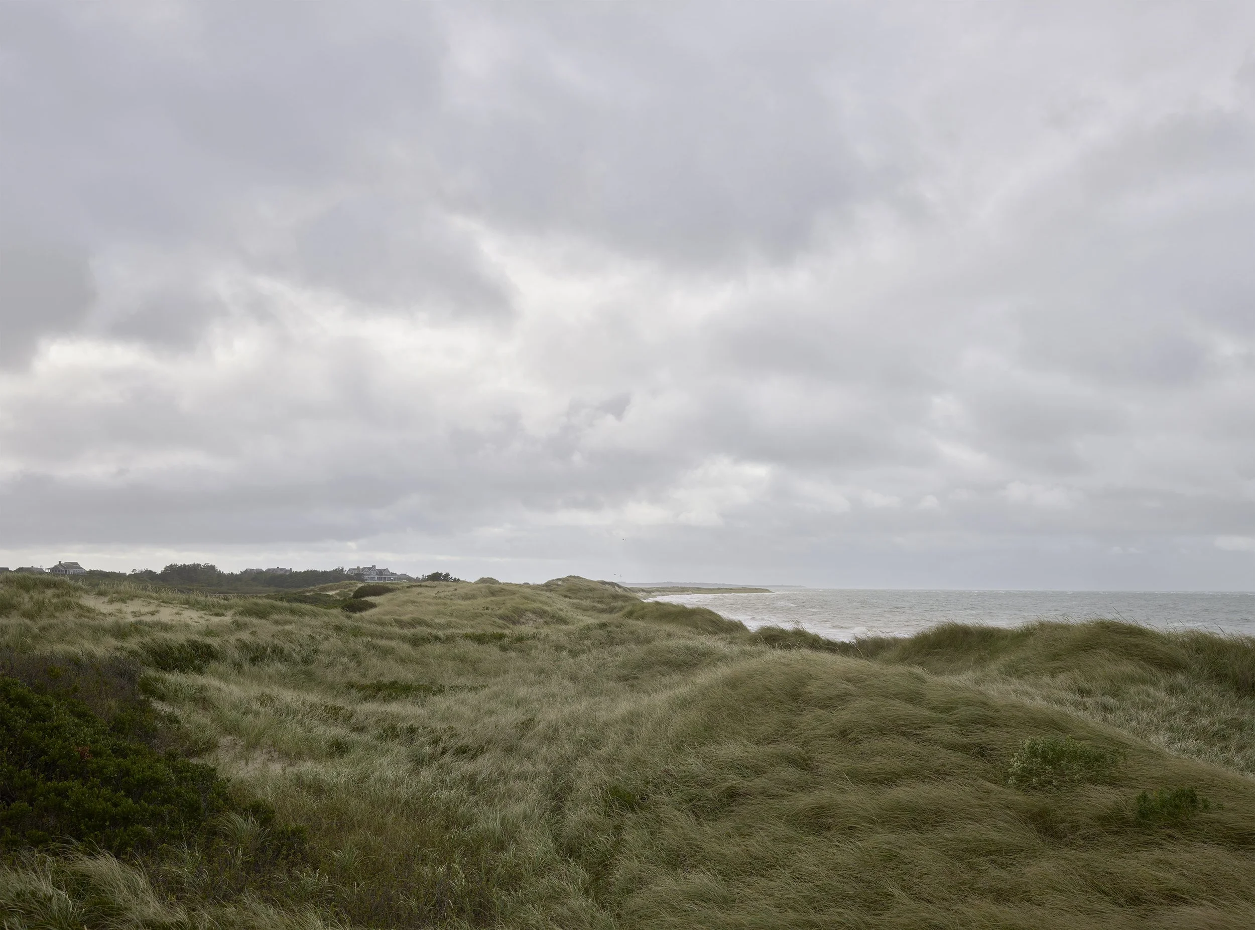 Seagrass