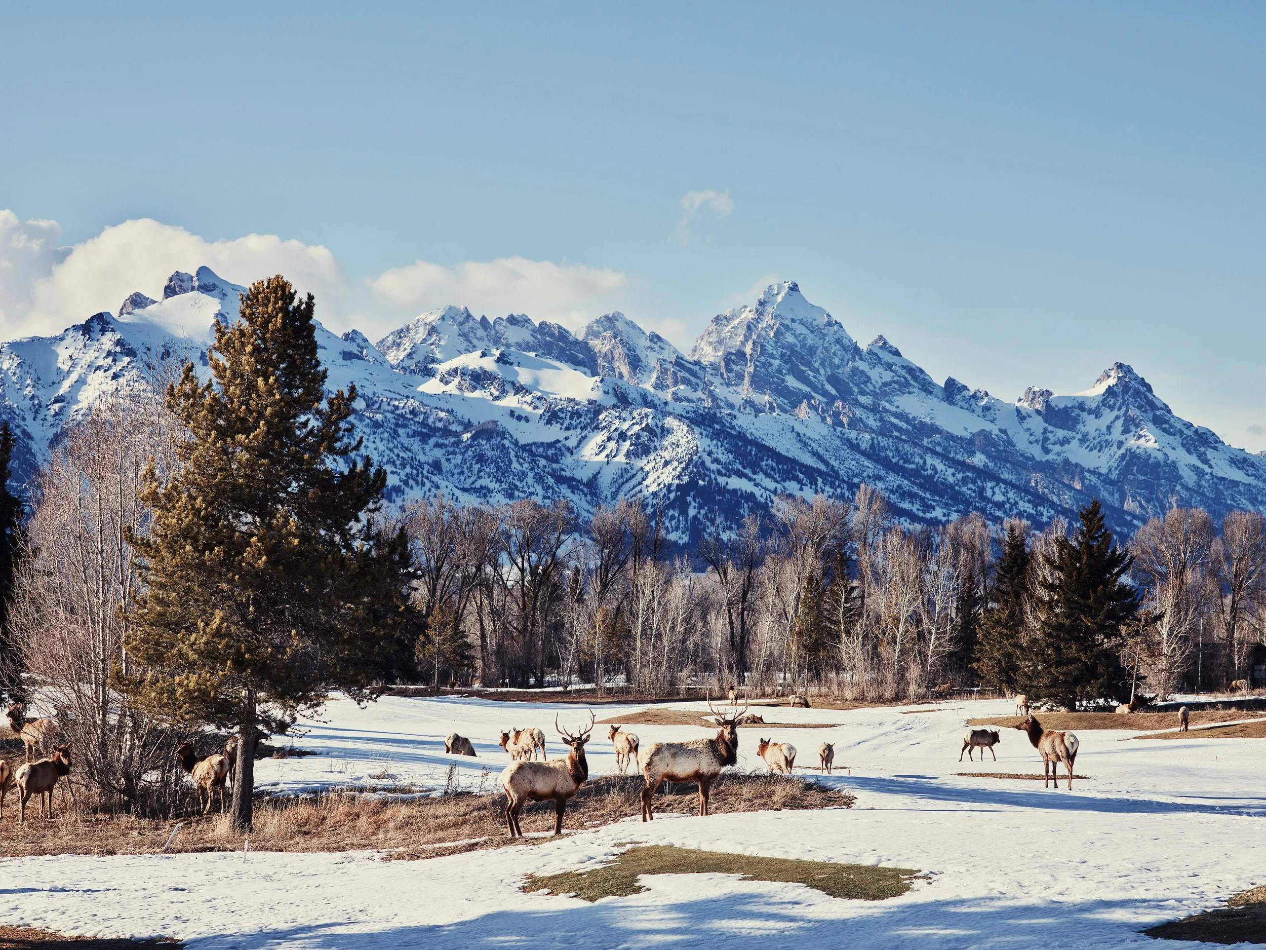 What 'Ya Looking At?