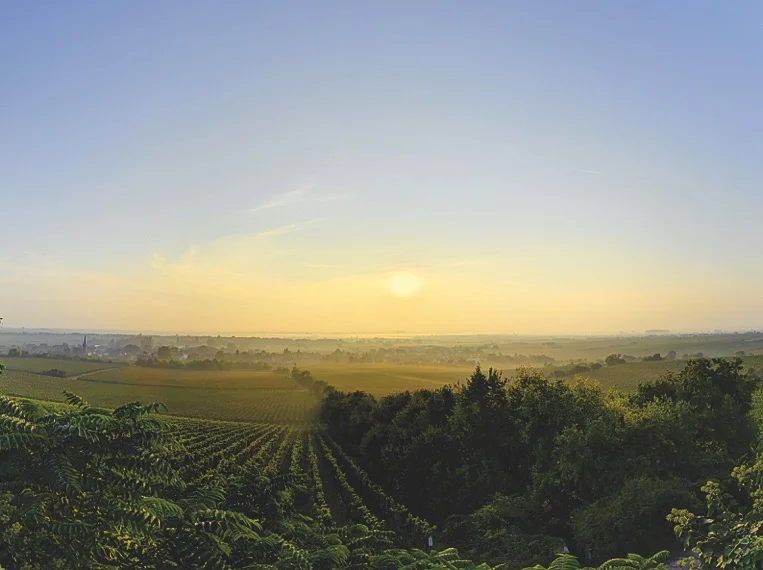  Im Weingut TEGERNSEERHOF kehrt das Weingut VON WINNING ein