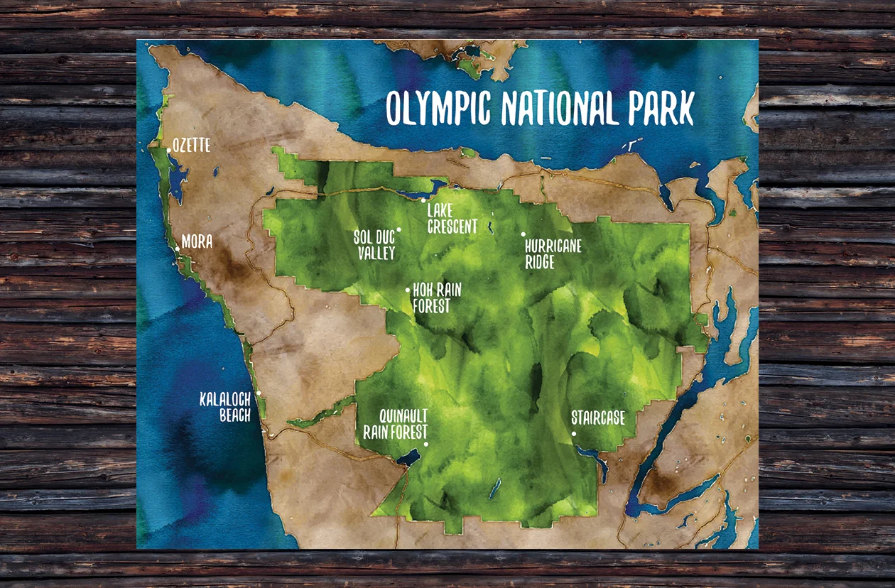 PORTFOLIO PRINTS2.jpg