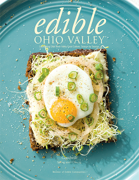 Spring 2016 – Read it Online!