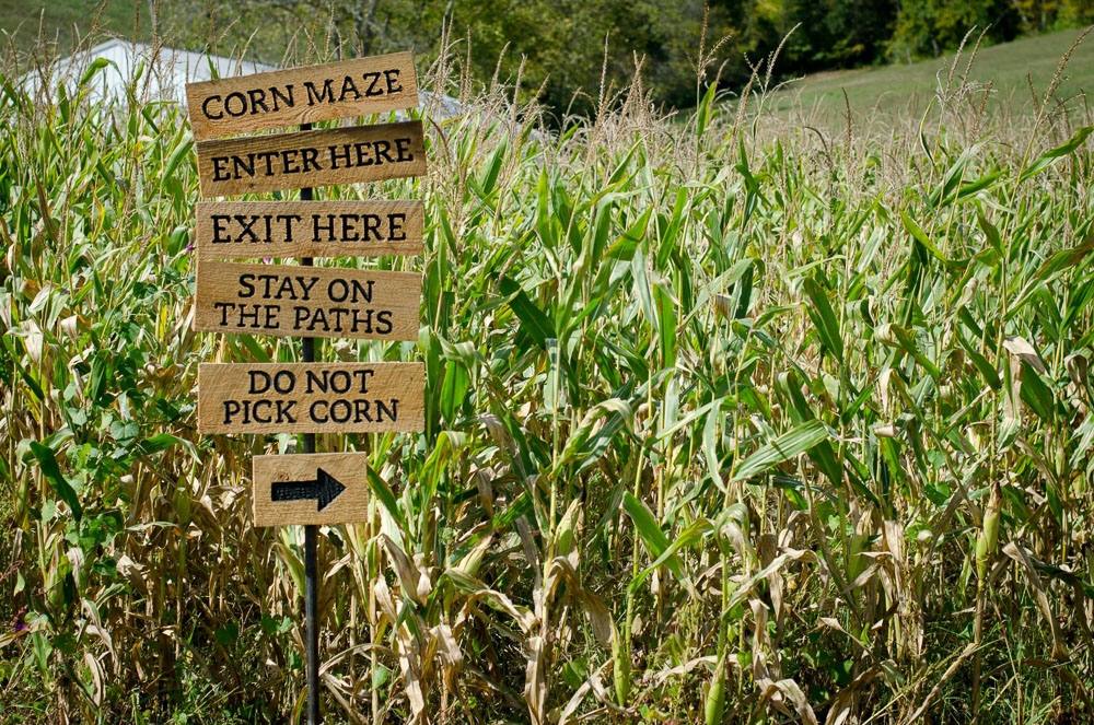Neltners Farm Festival